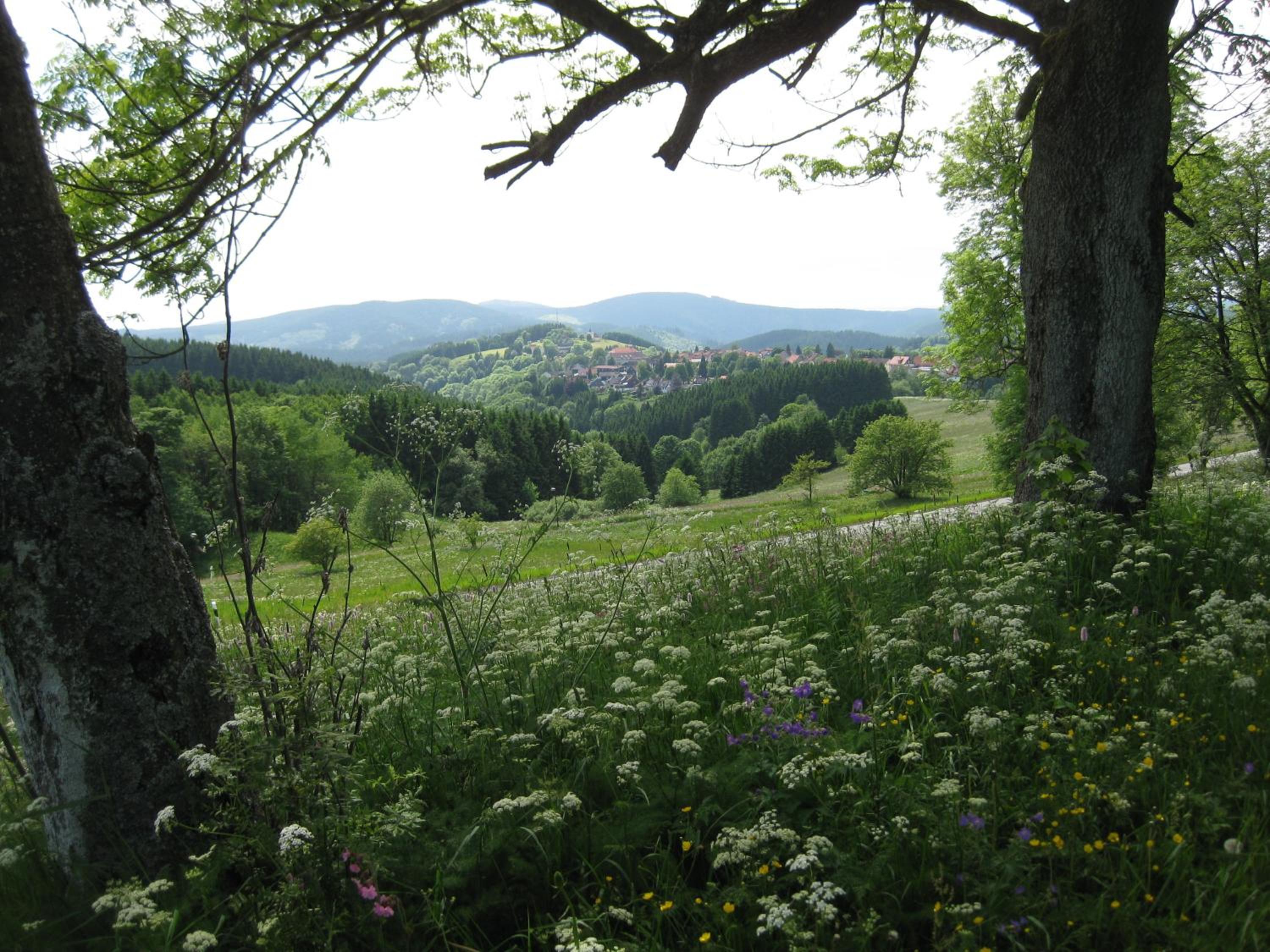 Altes Forsthaus Fischbach