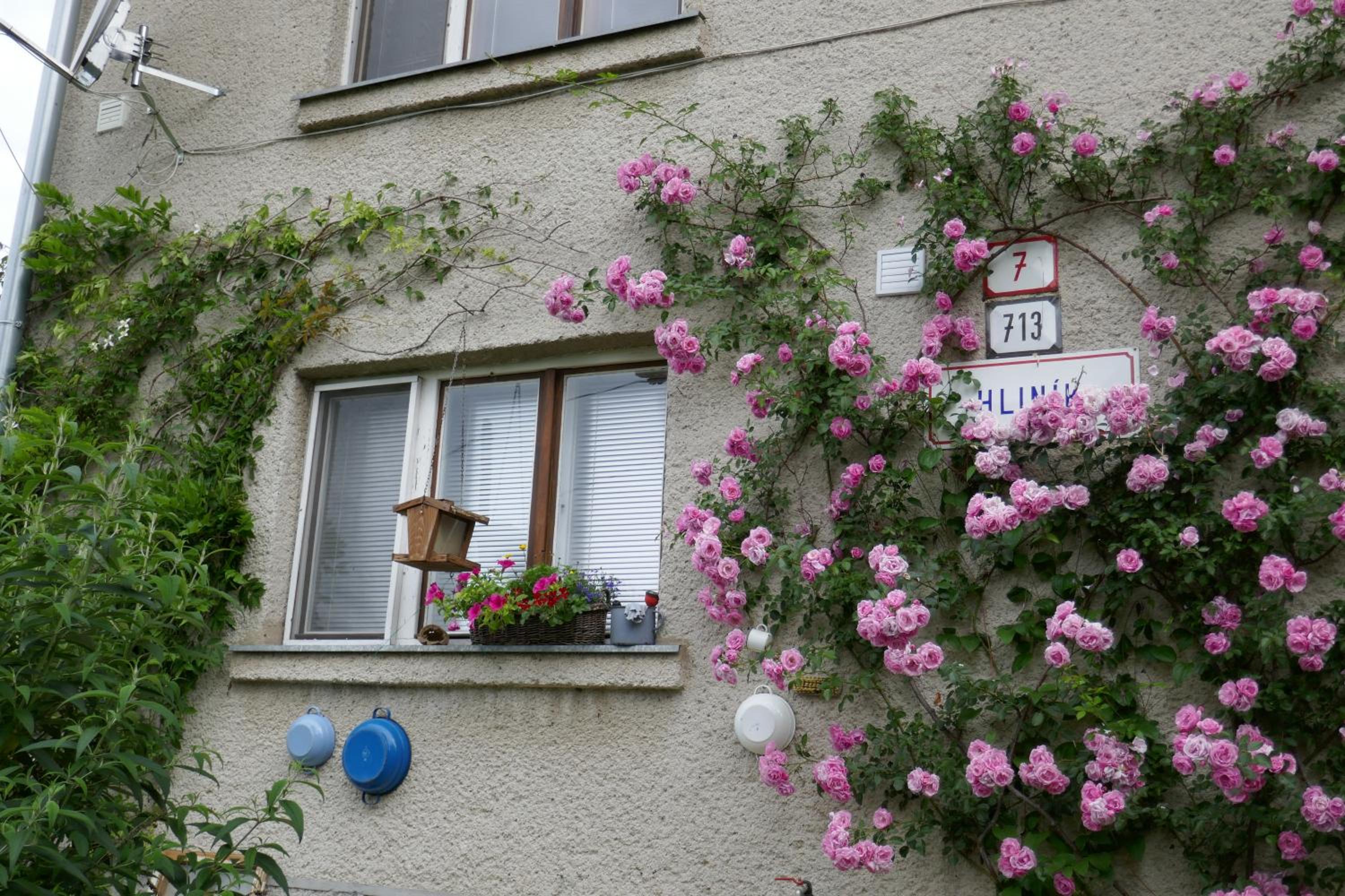 Photo 38