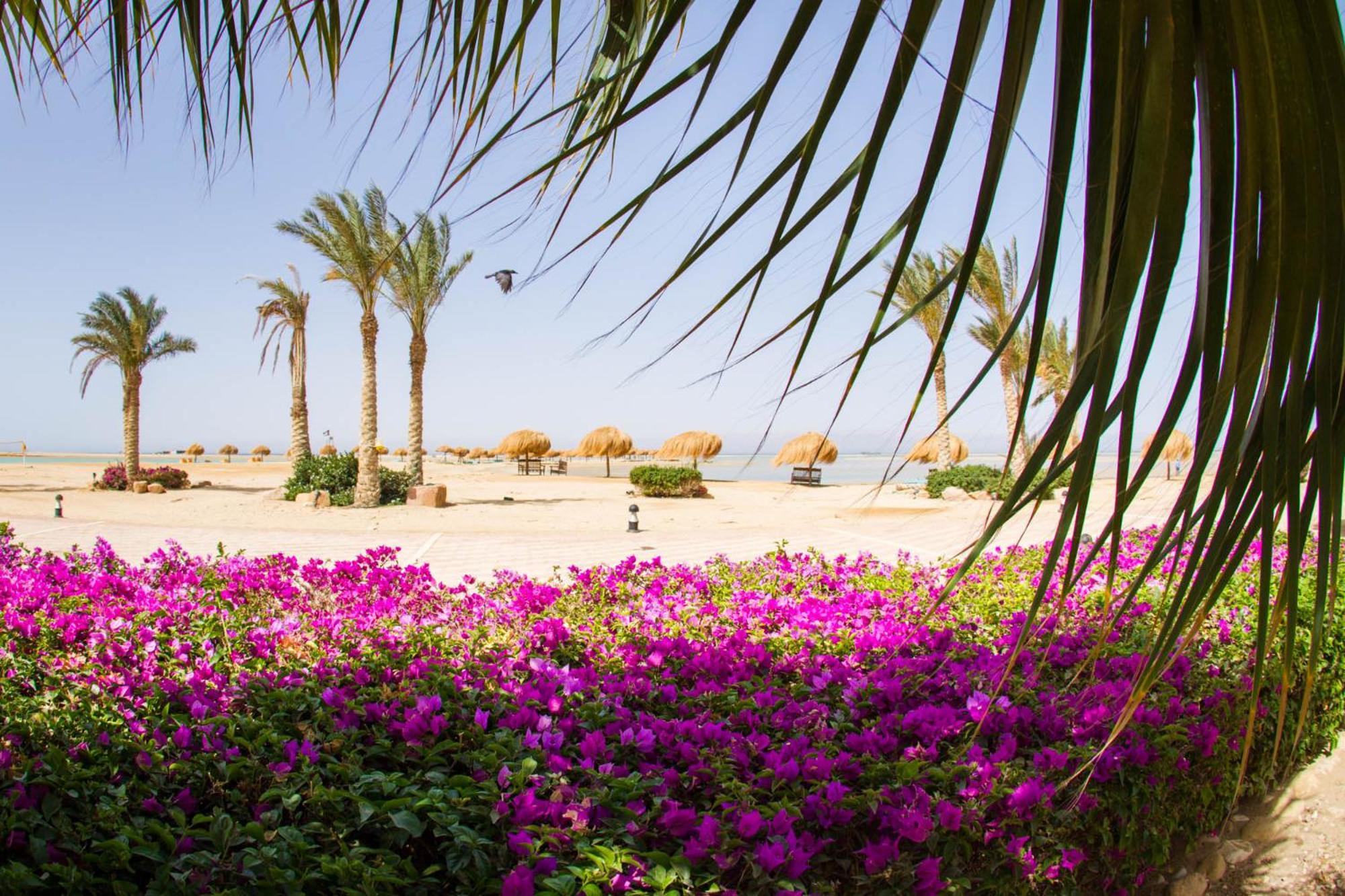 Green Sudr Resort