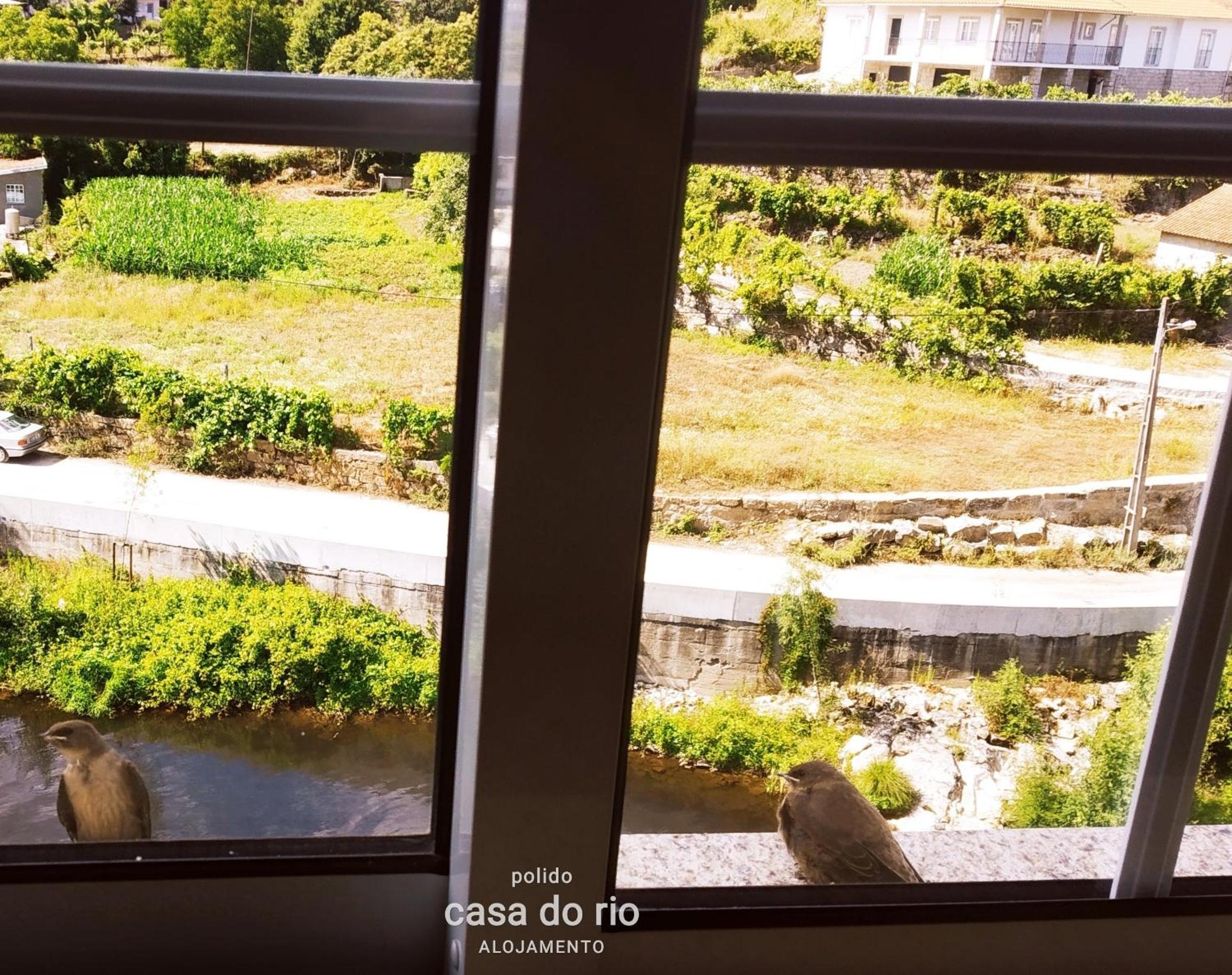 Casa do Rio view 5