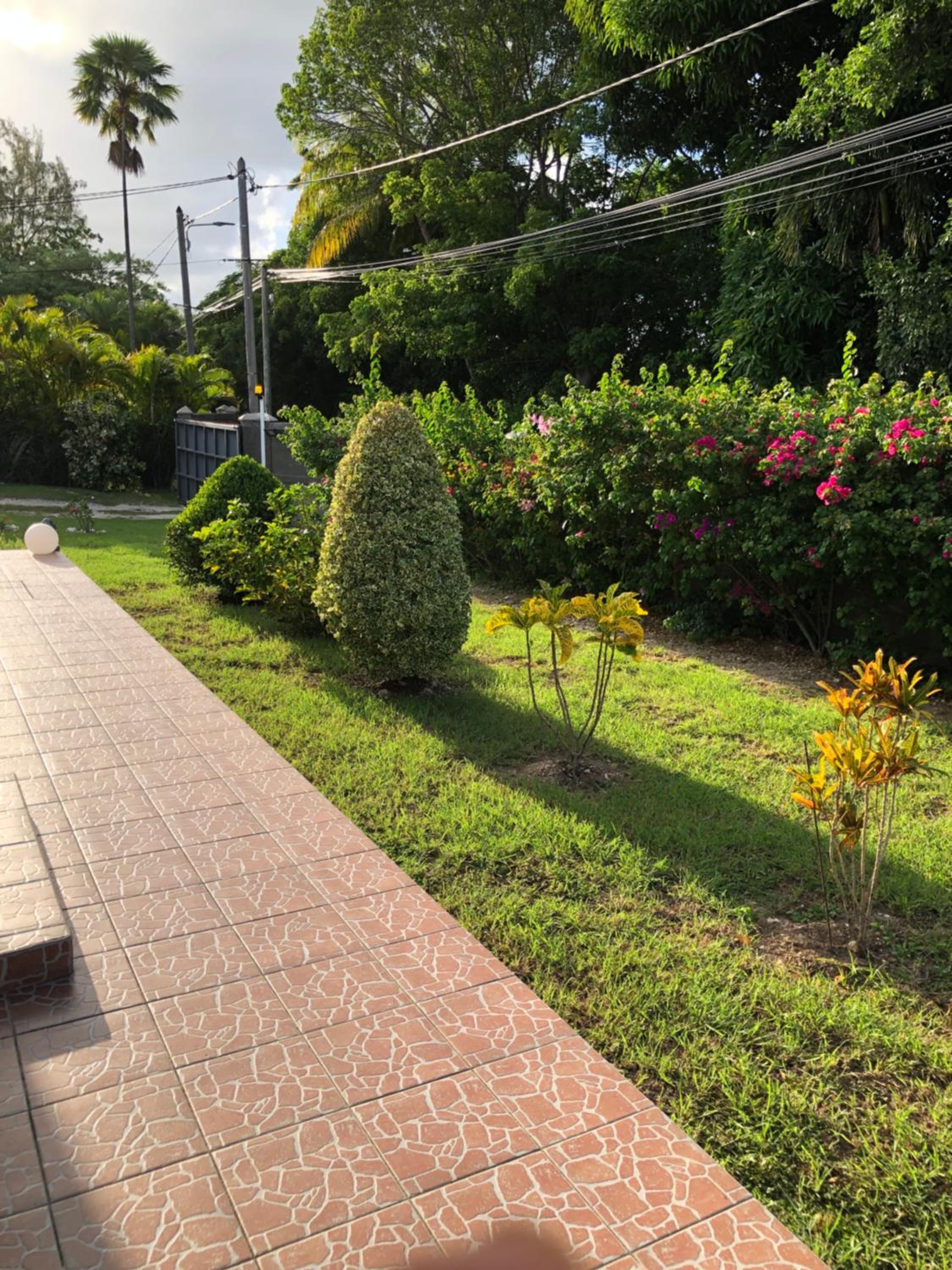 Photo 22