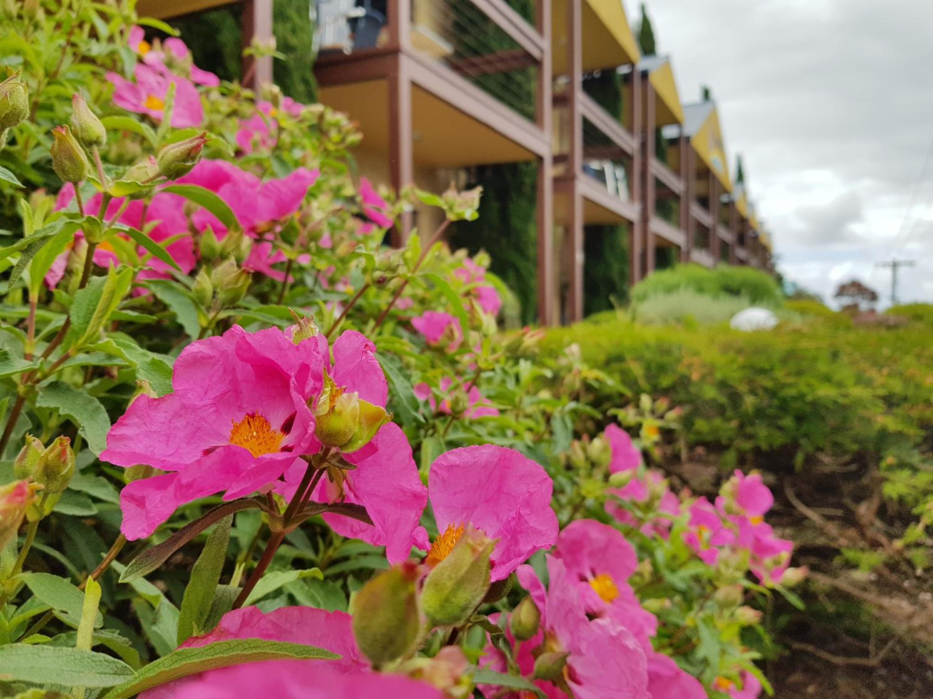 Seaview Motel & Apartments