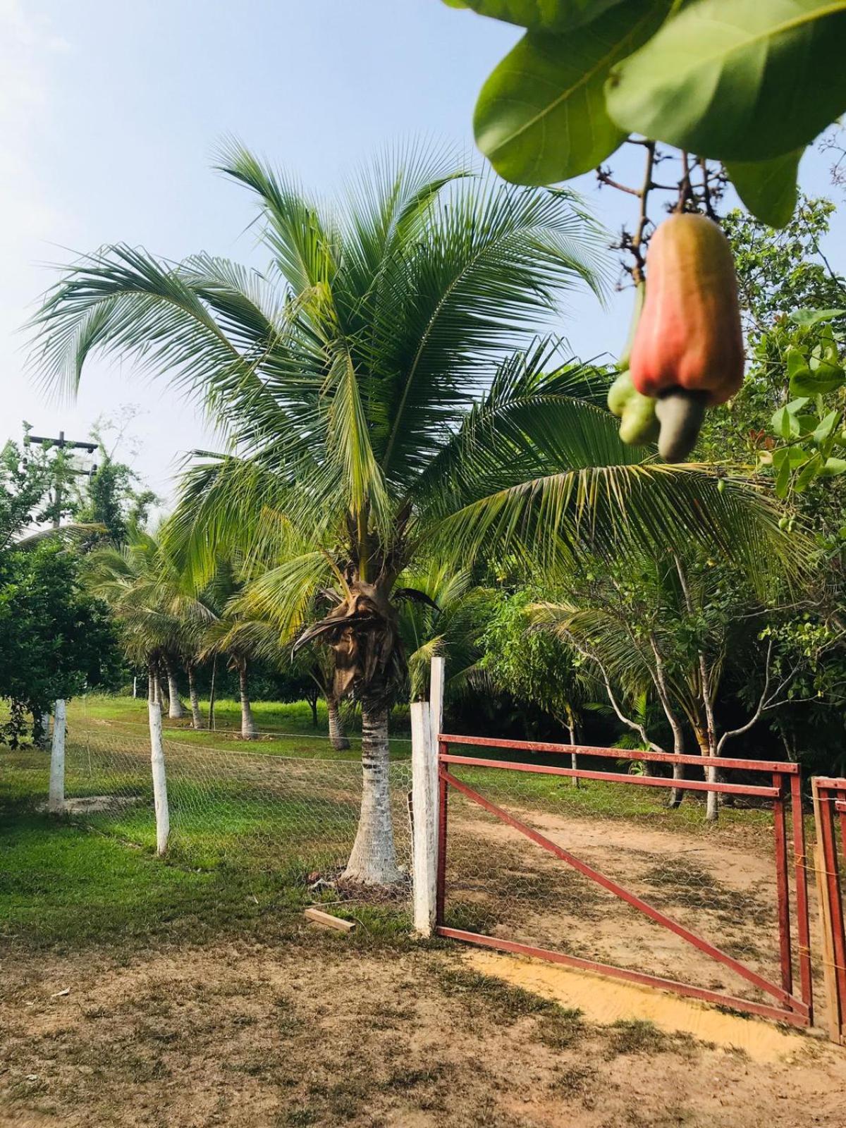 RECANTO DO SABIÁ