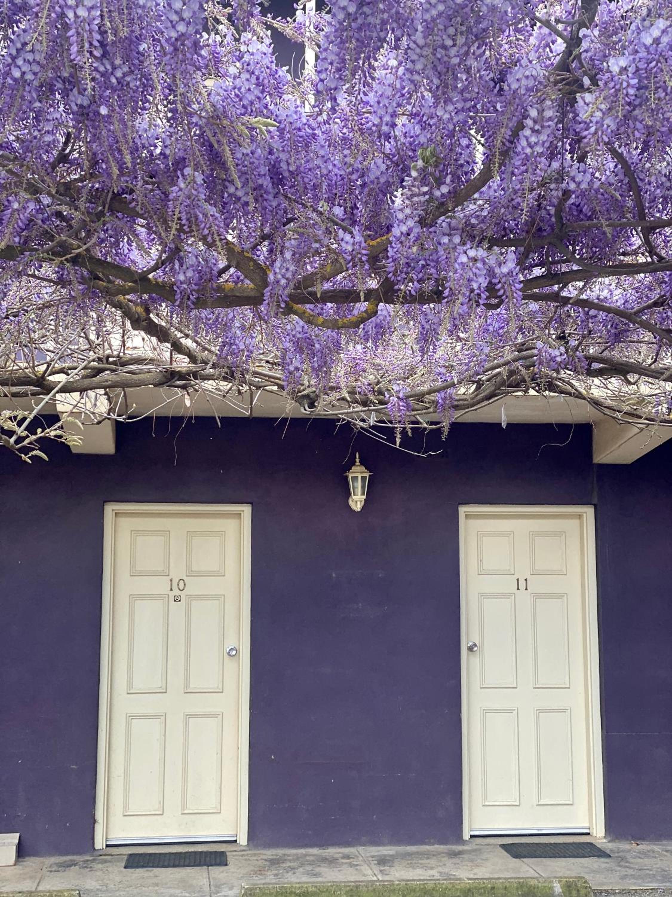 Barossa Gateway Motel - Property Image 6