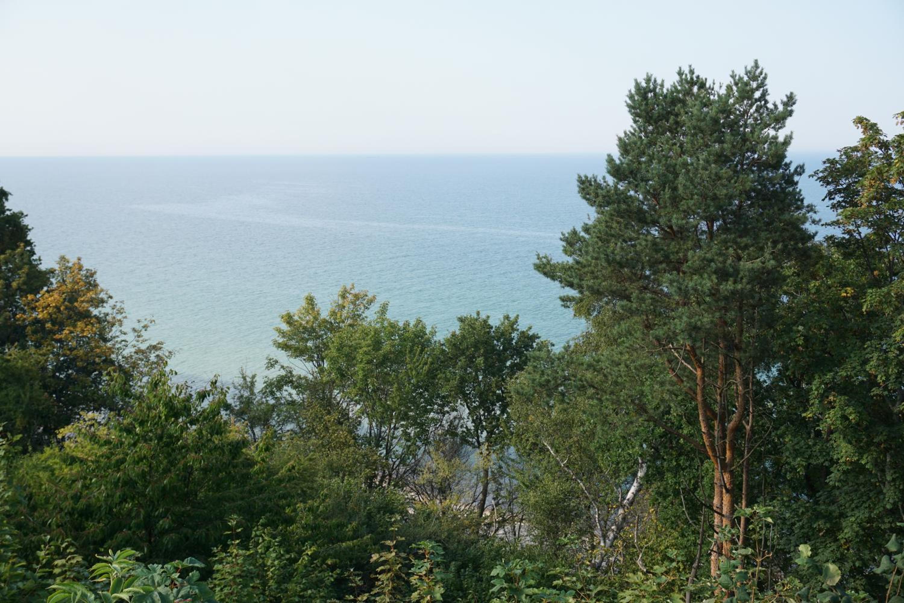 Photo 46