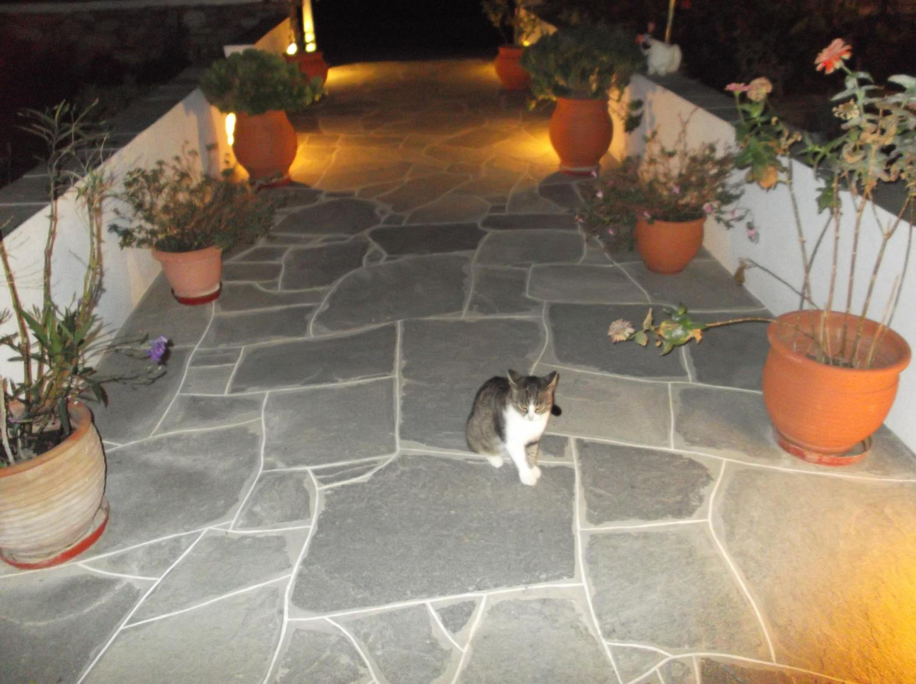 Morpheas Accommodation Sifnos