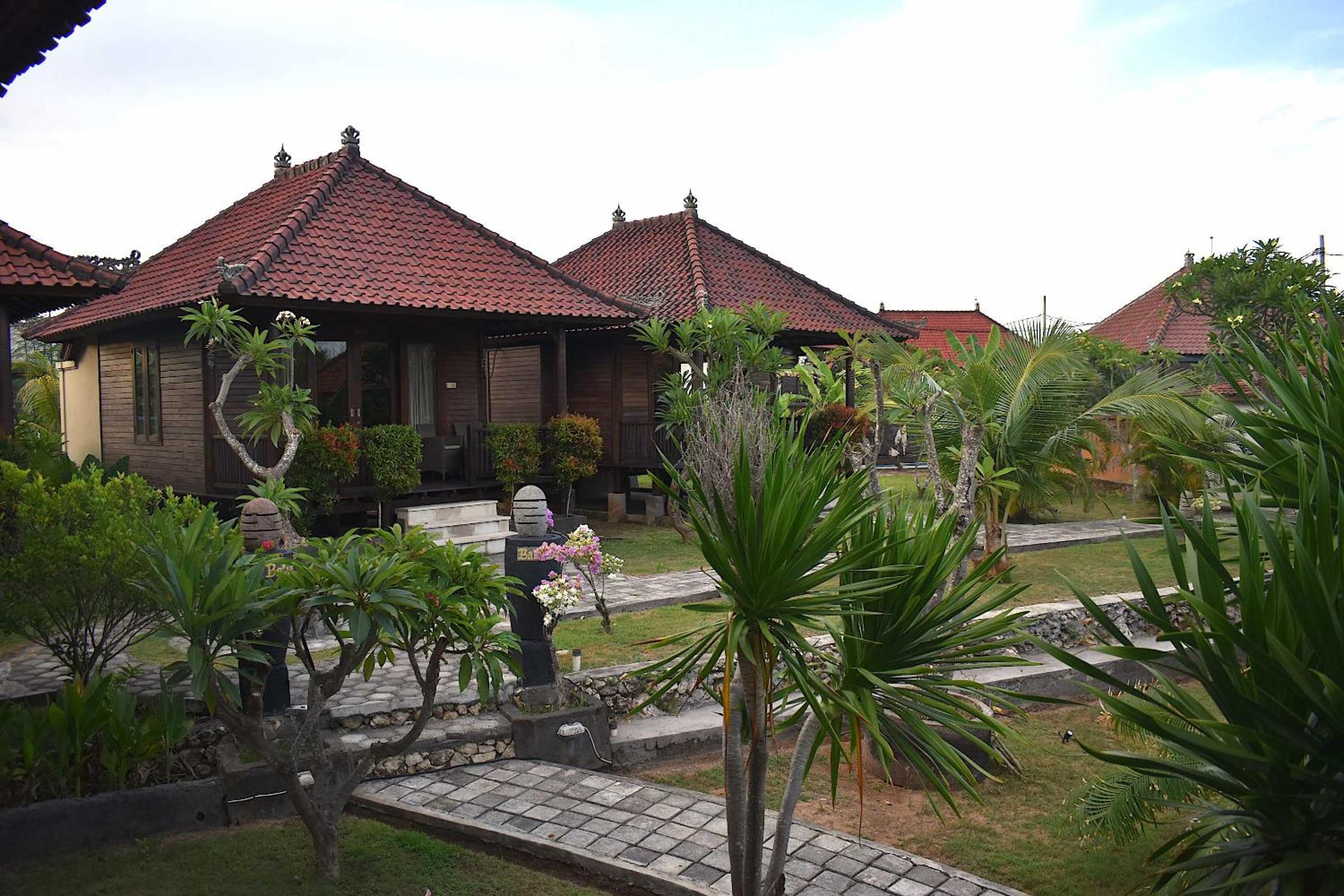 Bali Belva
