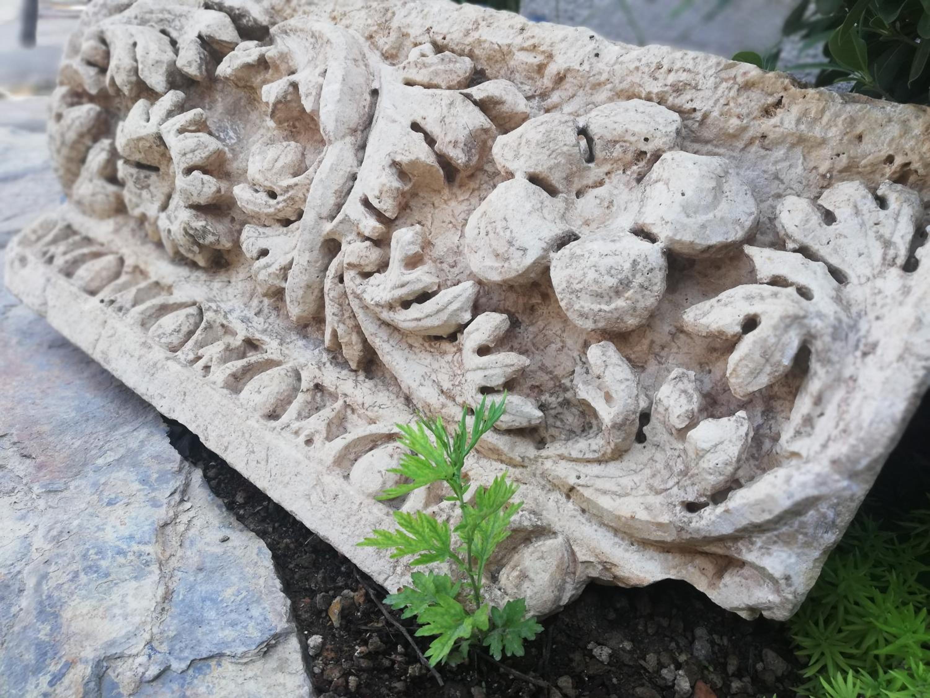 RuinAdalia Otel - Yetişkinlere Özel - Image 65