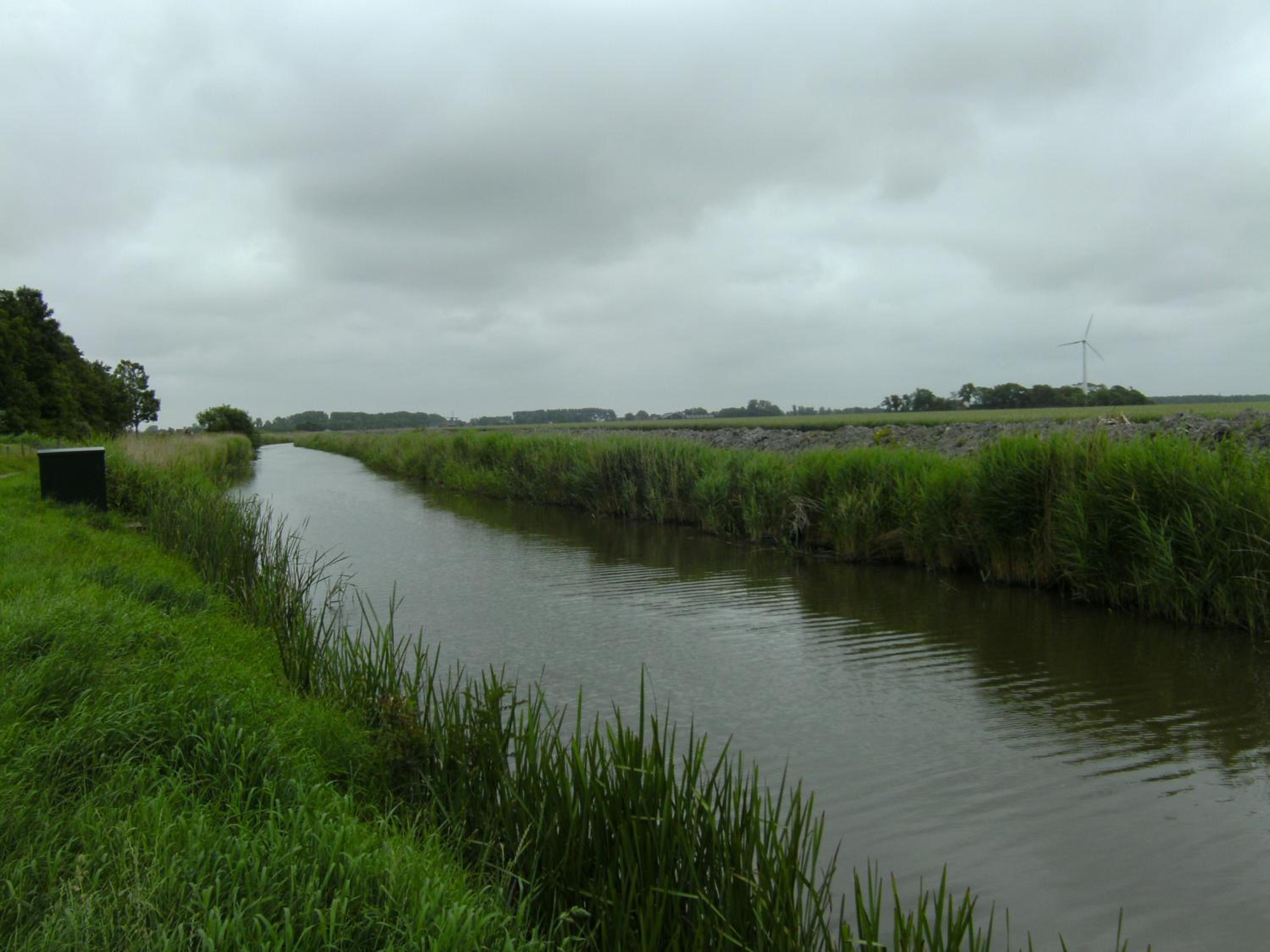 Photo 46