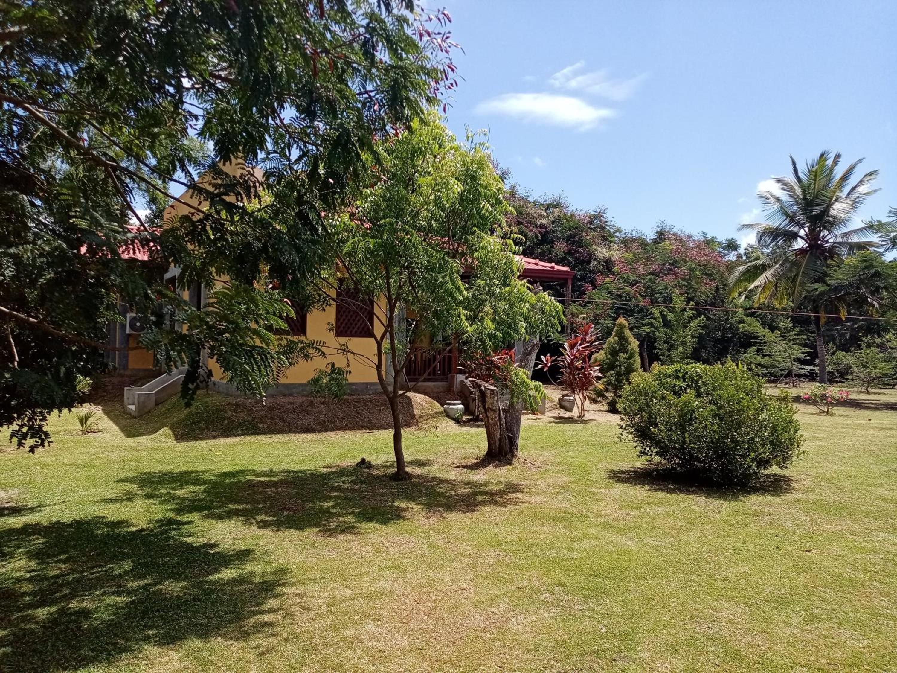 Photo 43