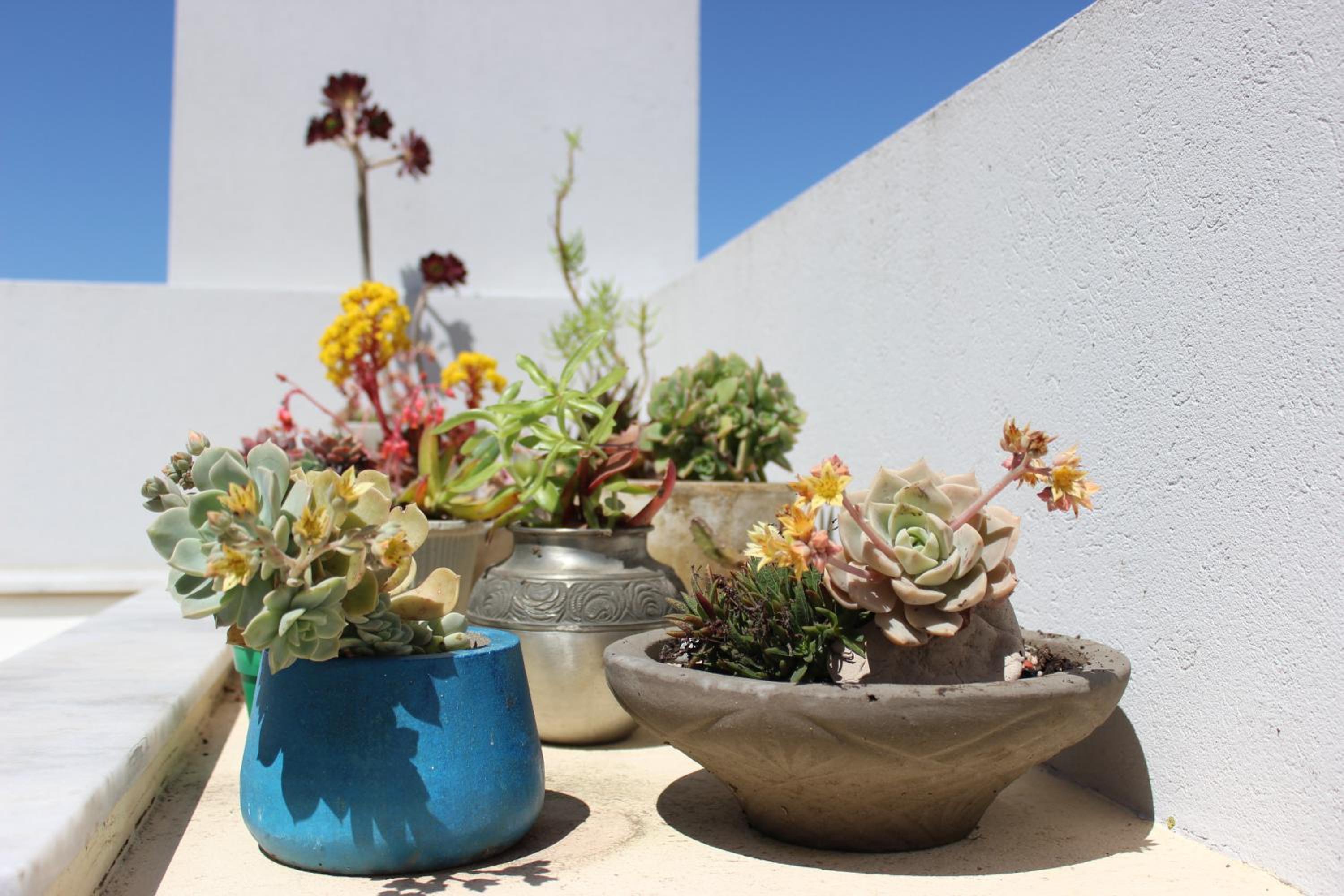 Triplex con terraza única a 50 mts del mar