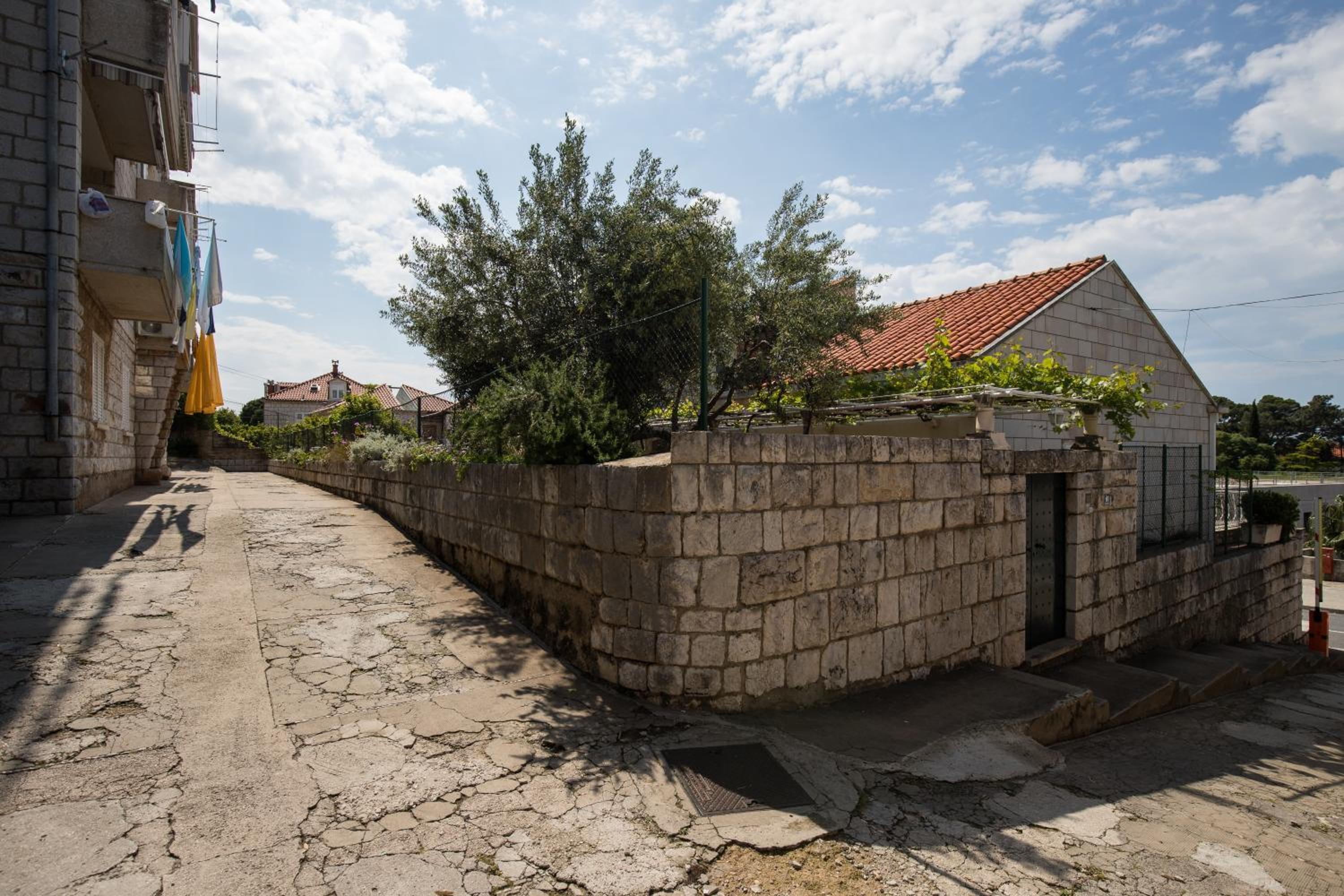 Studio Maha