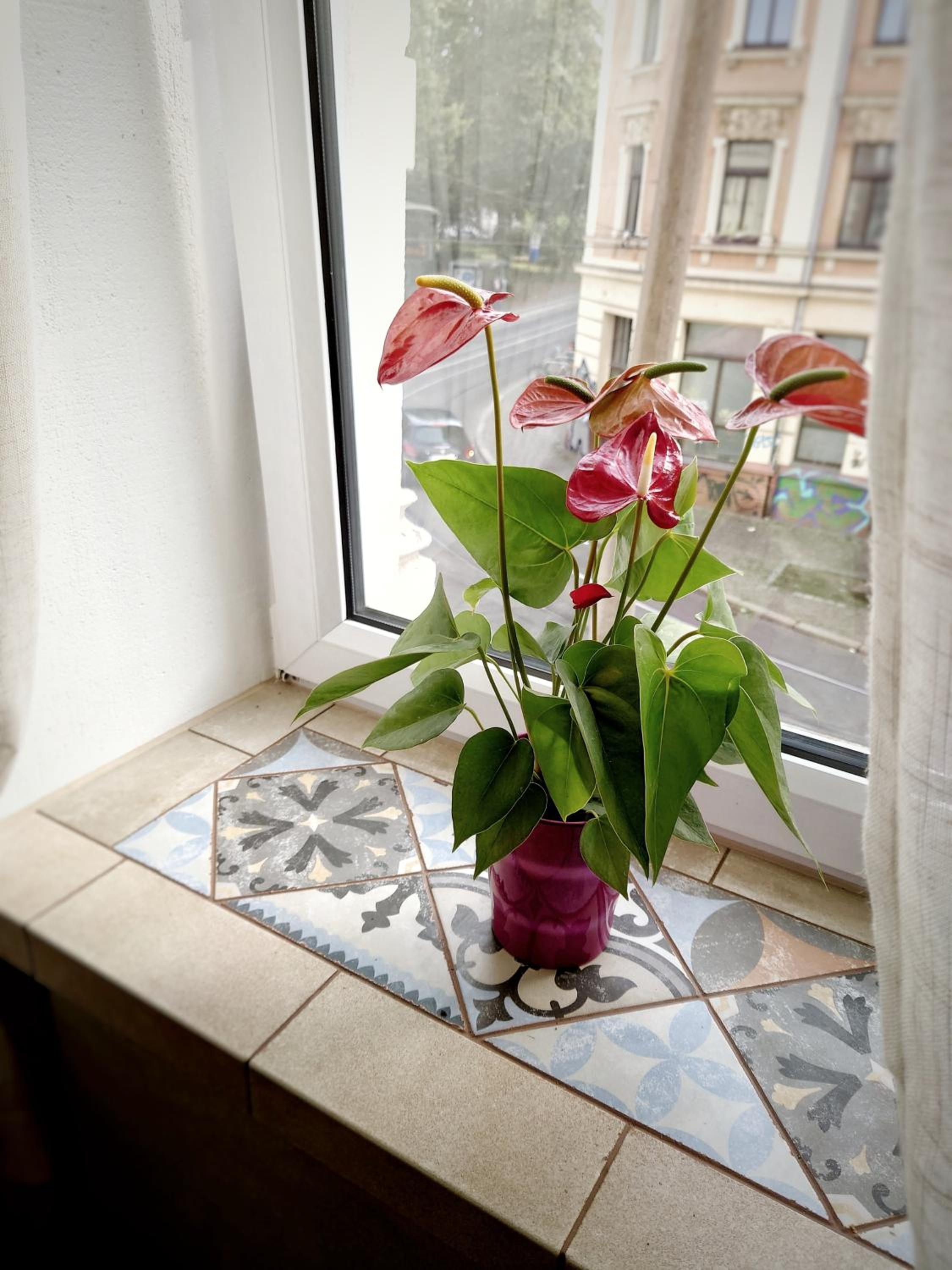 Photo 32