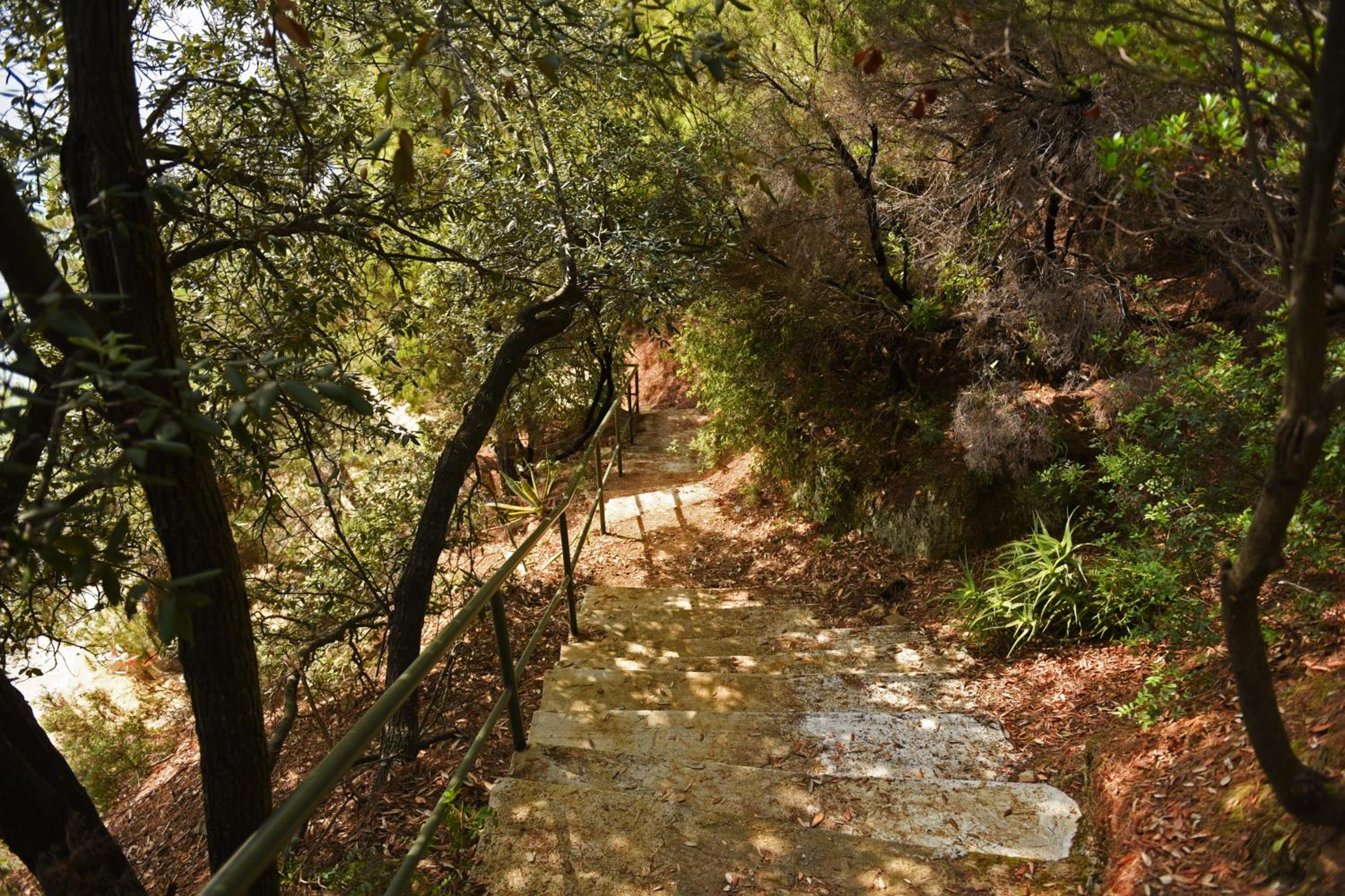 Photo 45
