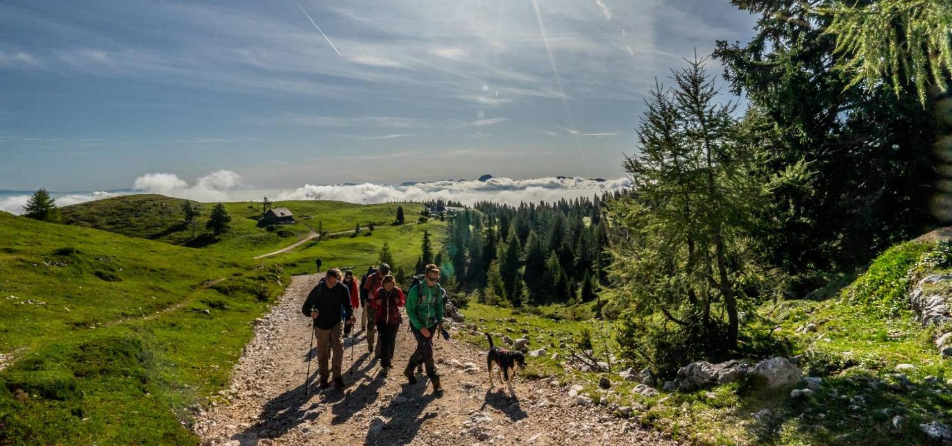 Naturel Hoteldorf Schönleitn