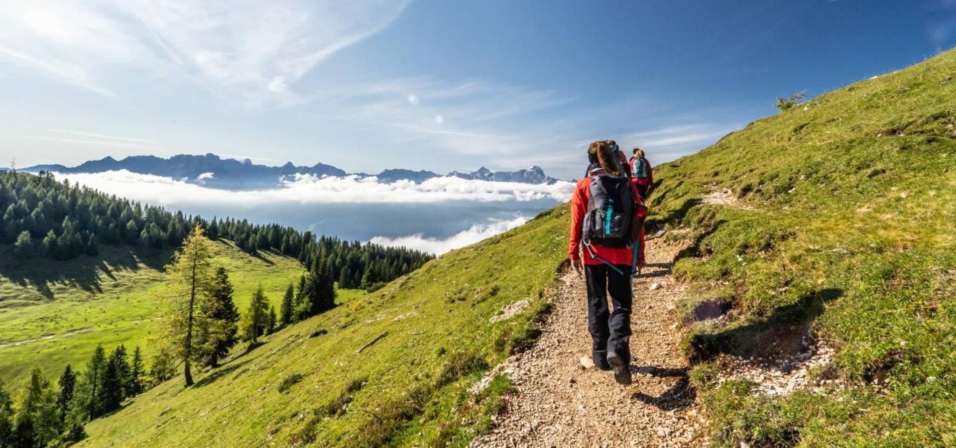 Naturel Hoteldorf Schönleitn