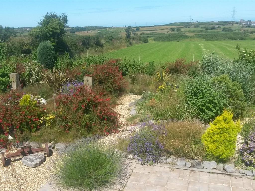 Sportsmans Lodge Bed and Breakfast view 5