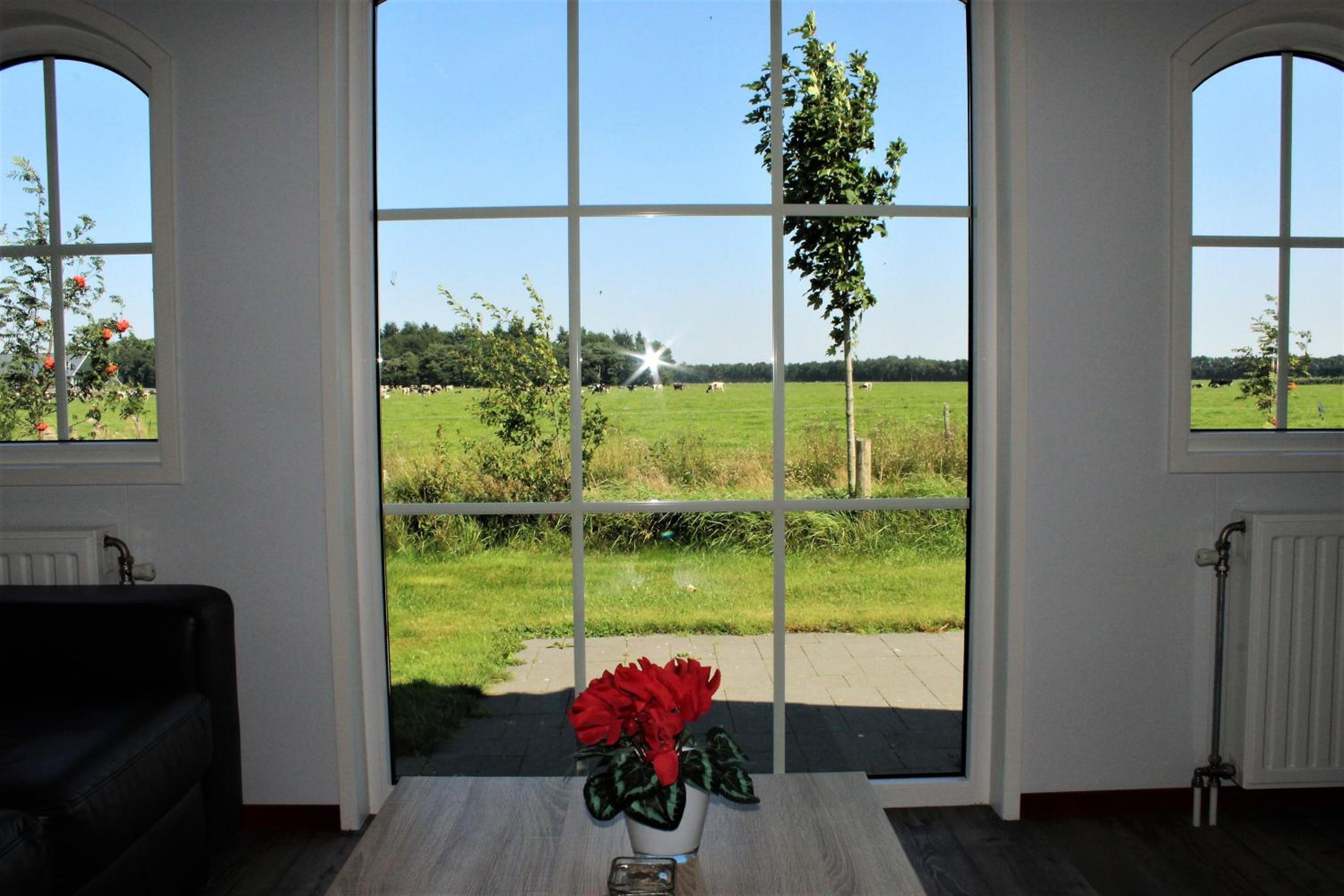 Photo 27
