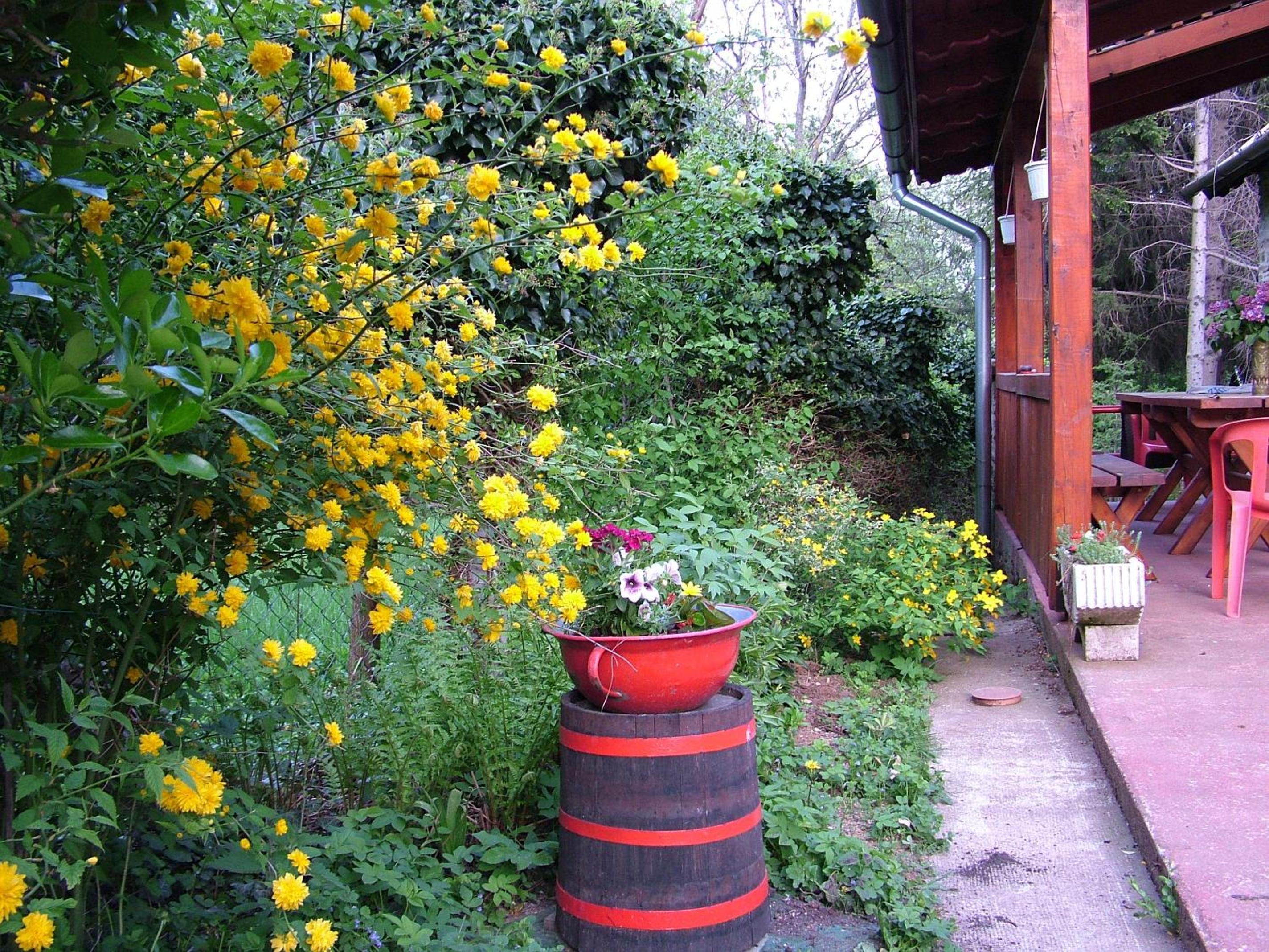 Photo 12