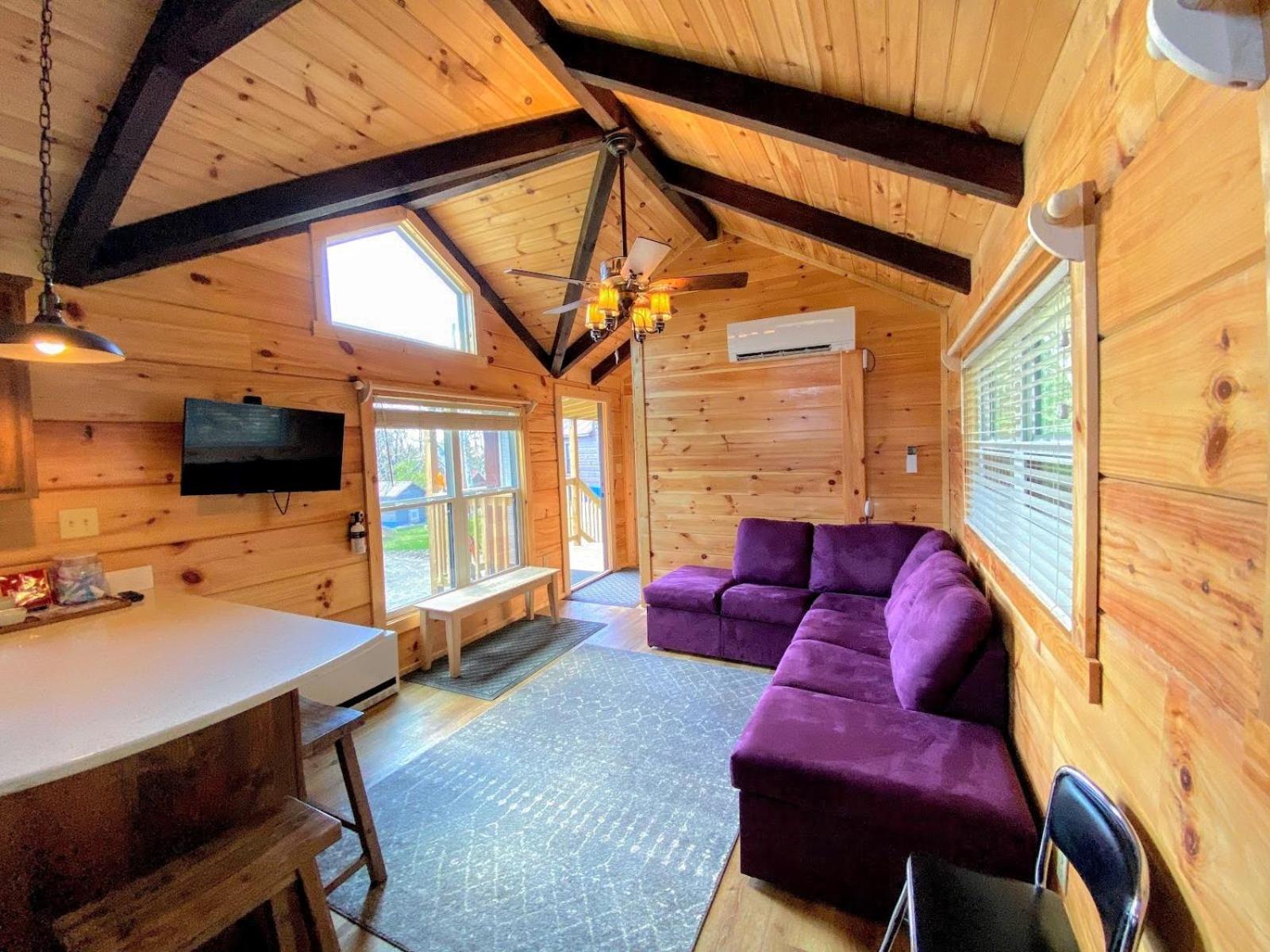 B10 NEW Awesome Tiny Home with AC Mountain Views Minutes to Skiing Hiking Attractions view 4