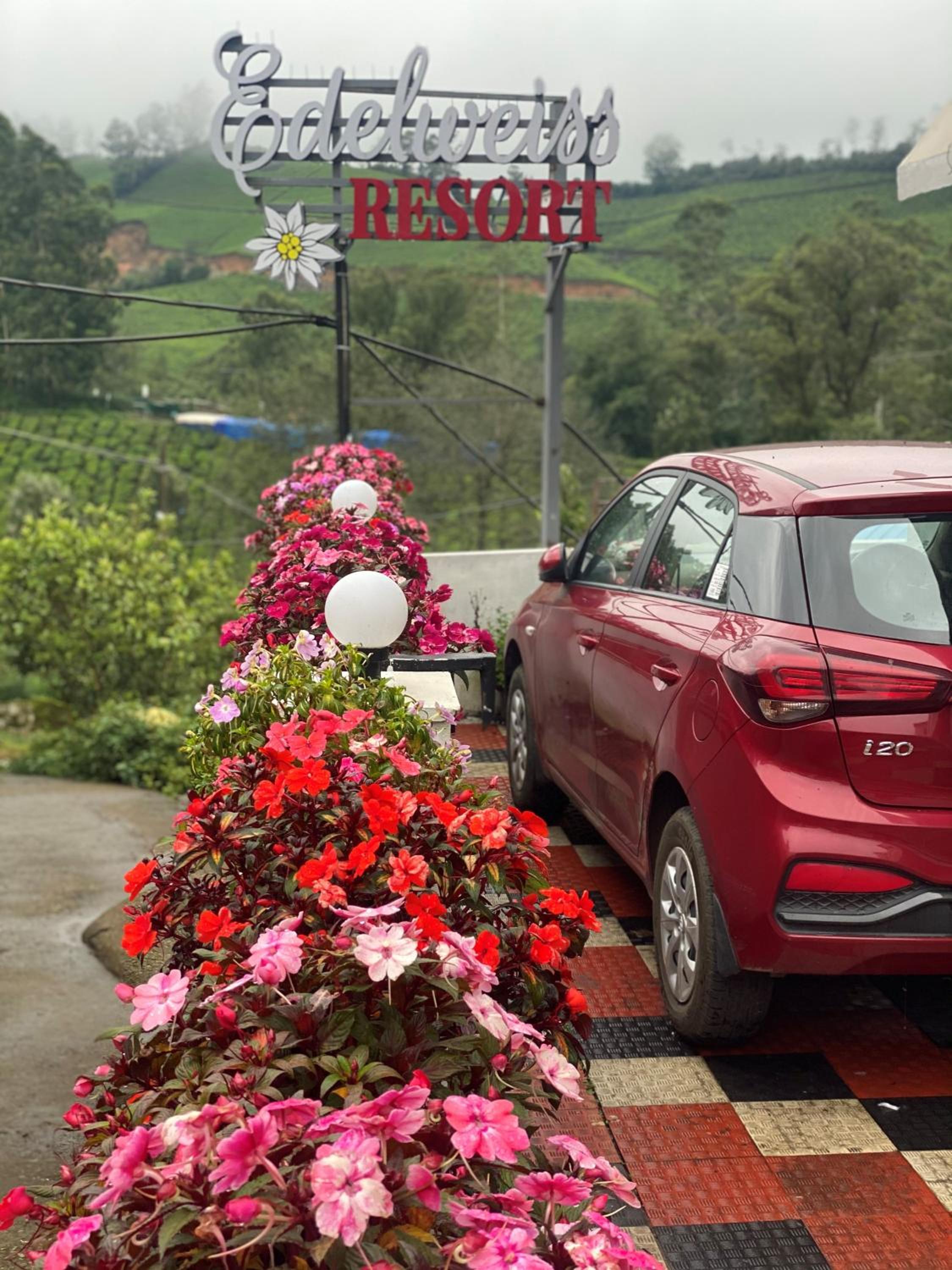 Edelweiss Resort view 4