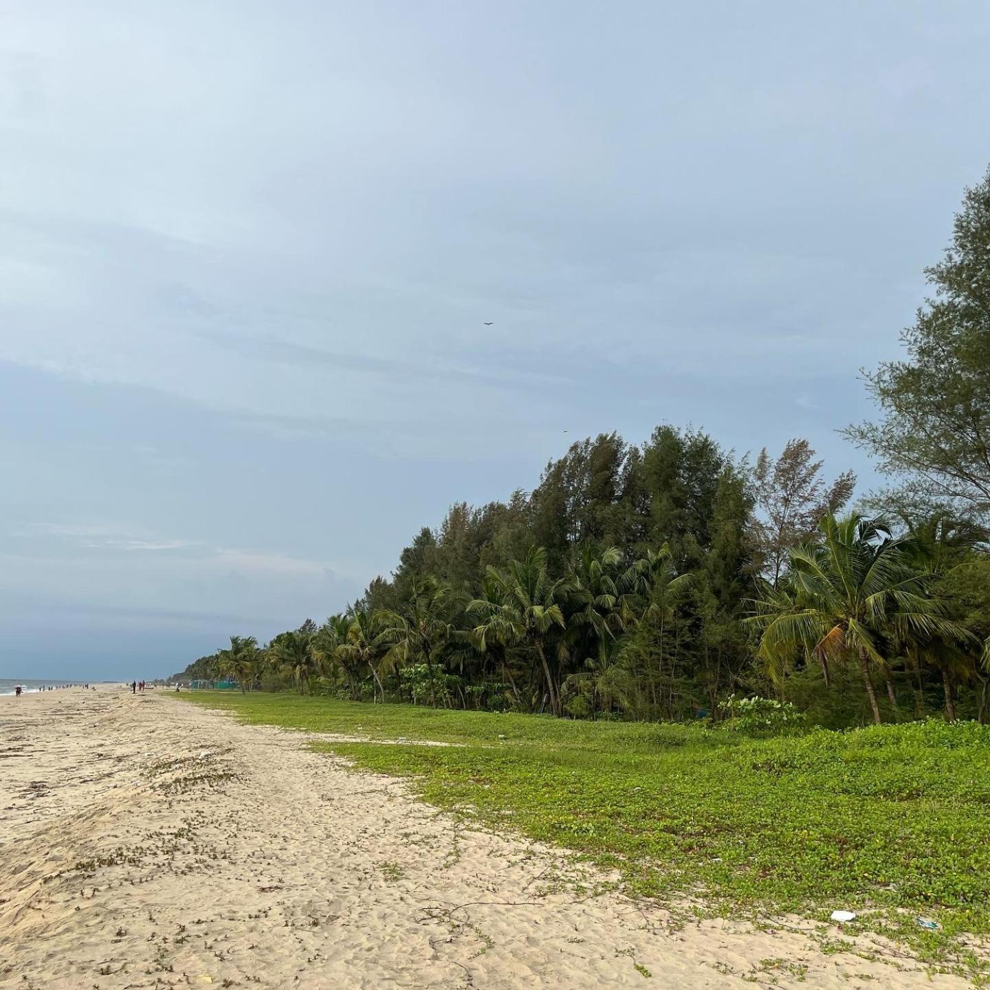 Marari Beach Villas