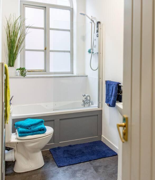 Lovely Central 1 Bed Apartment Sleeps 2 plus 1 view 5
