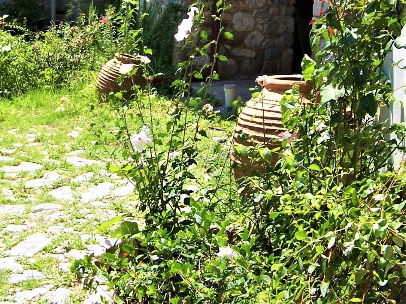 Photo 42