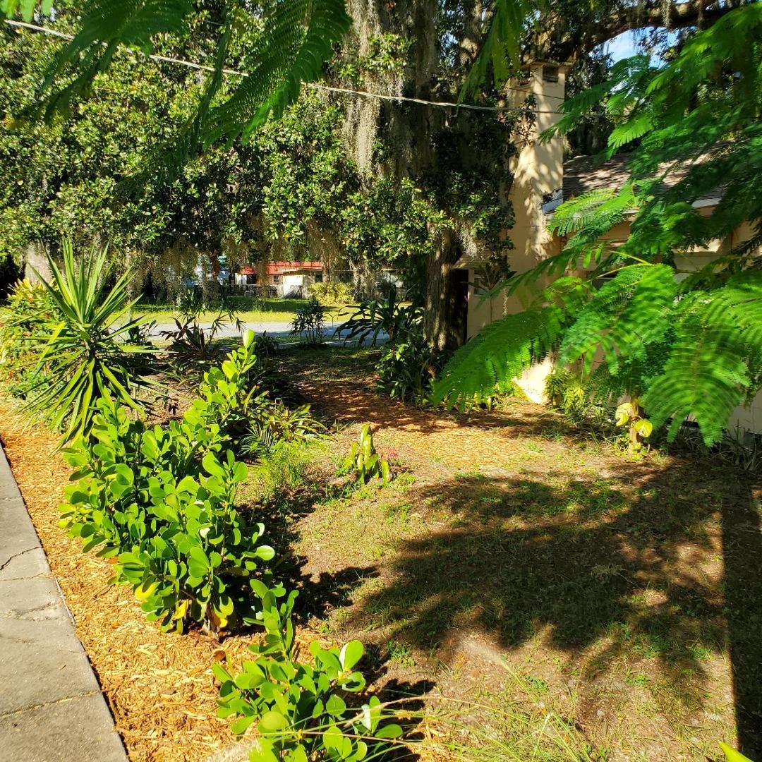 Photo 45
