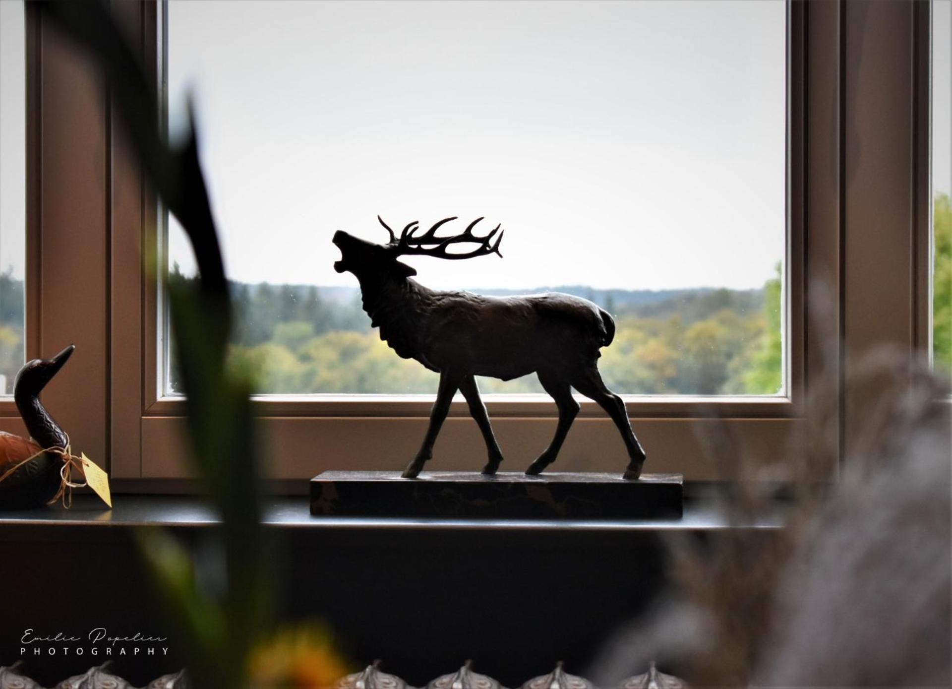 La Villa du Pré Du Cerf---------- TARIF PREFERENTIEL 2 NUITS-------