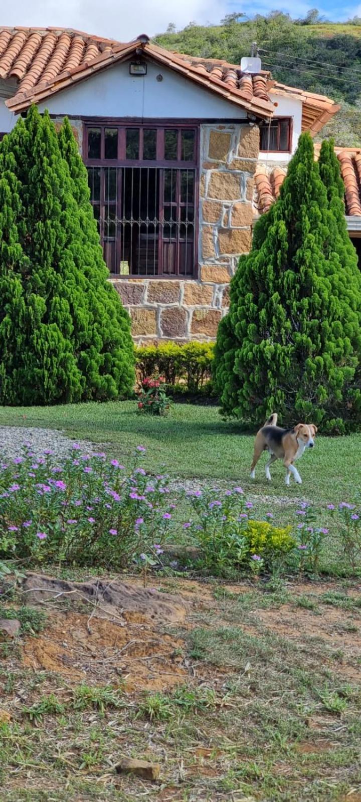 Finca Casa Loma Barichara