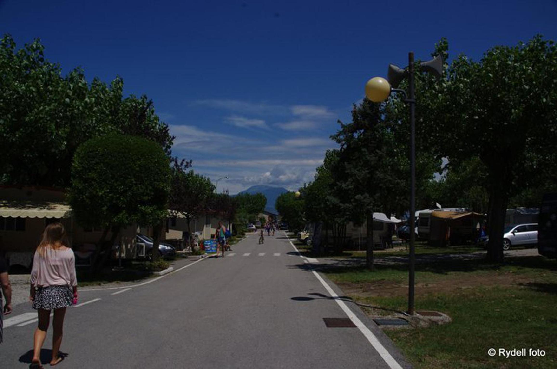 Photo 24