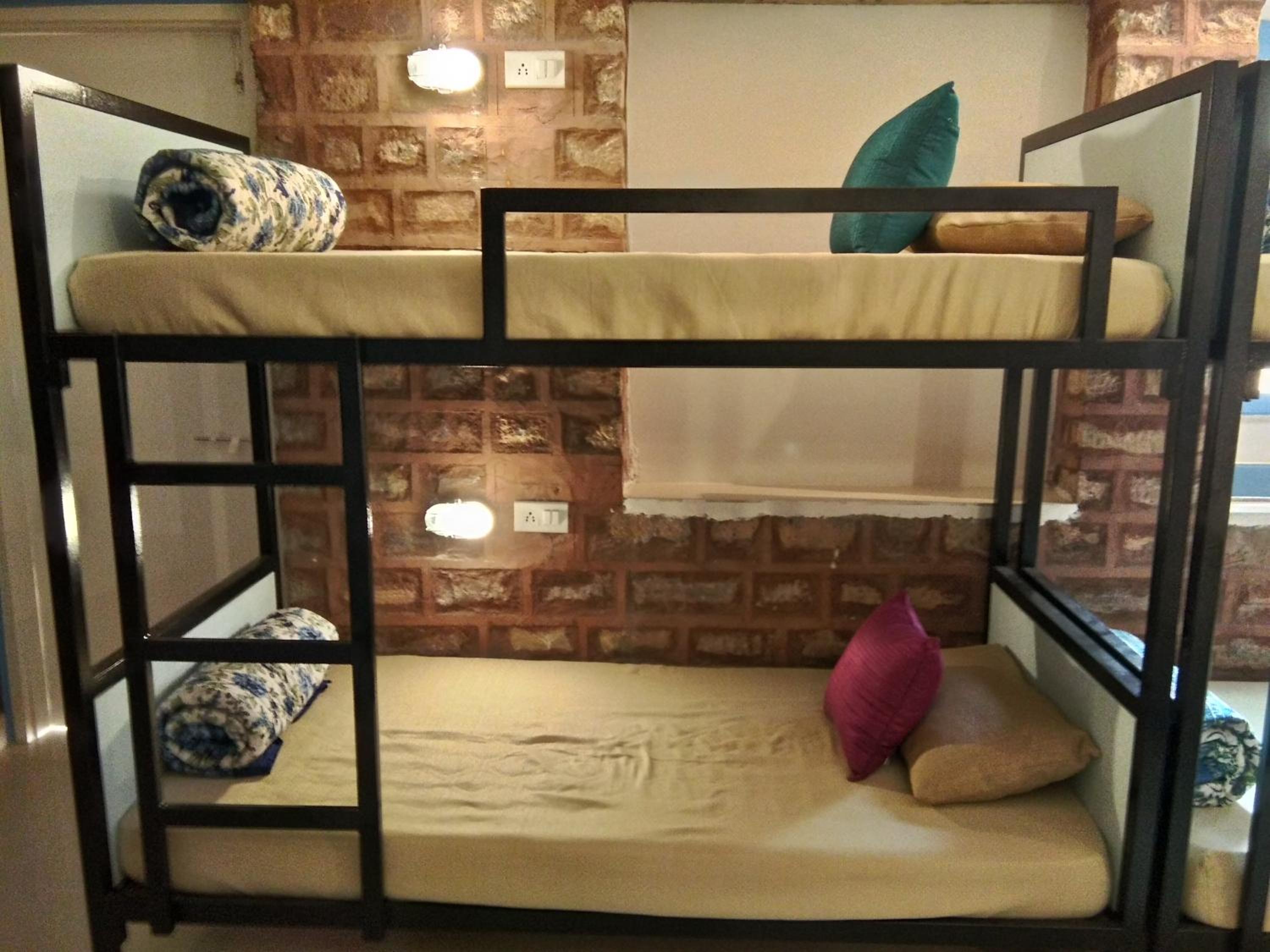 Moustache Jodhpur