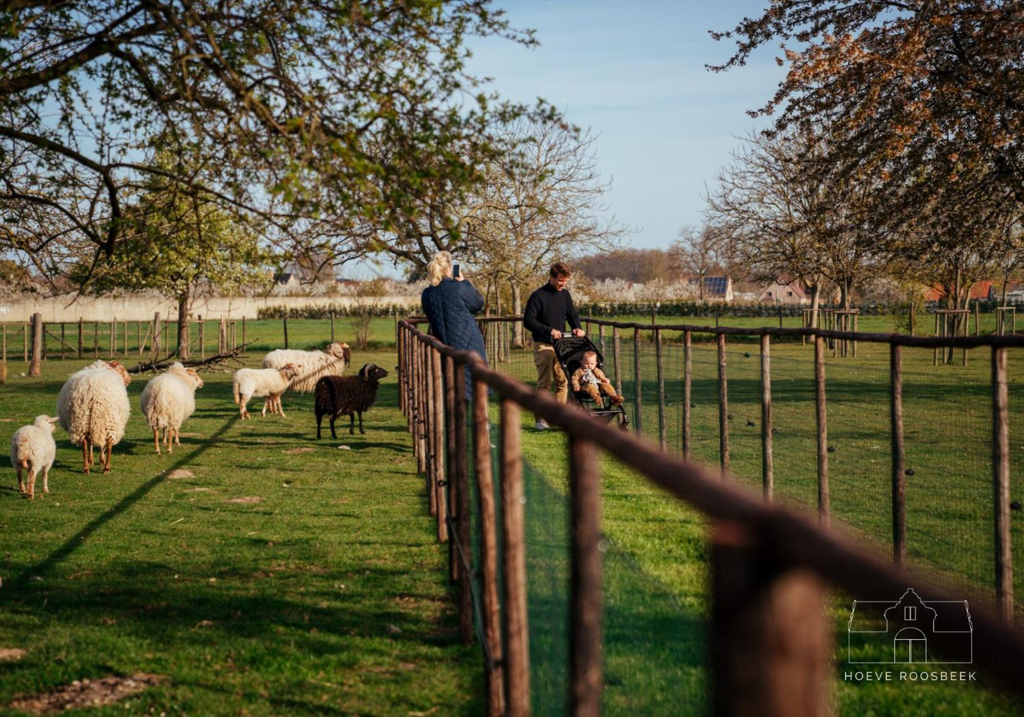 Hoeve Roosbeek