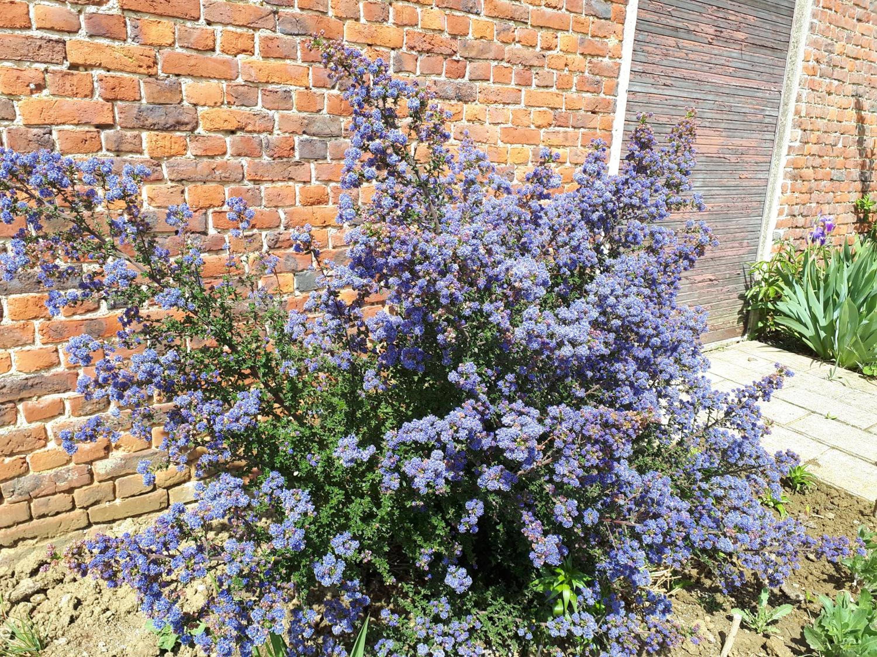 Photo 15
