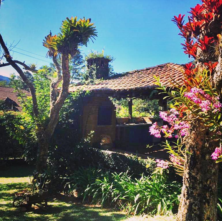 Pinheiros do Rocio