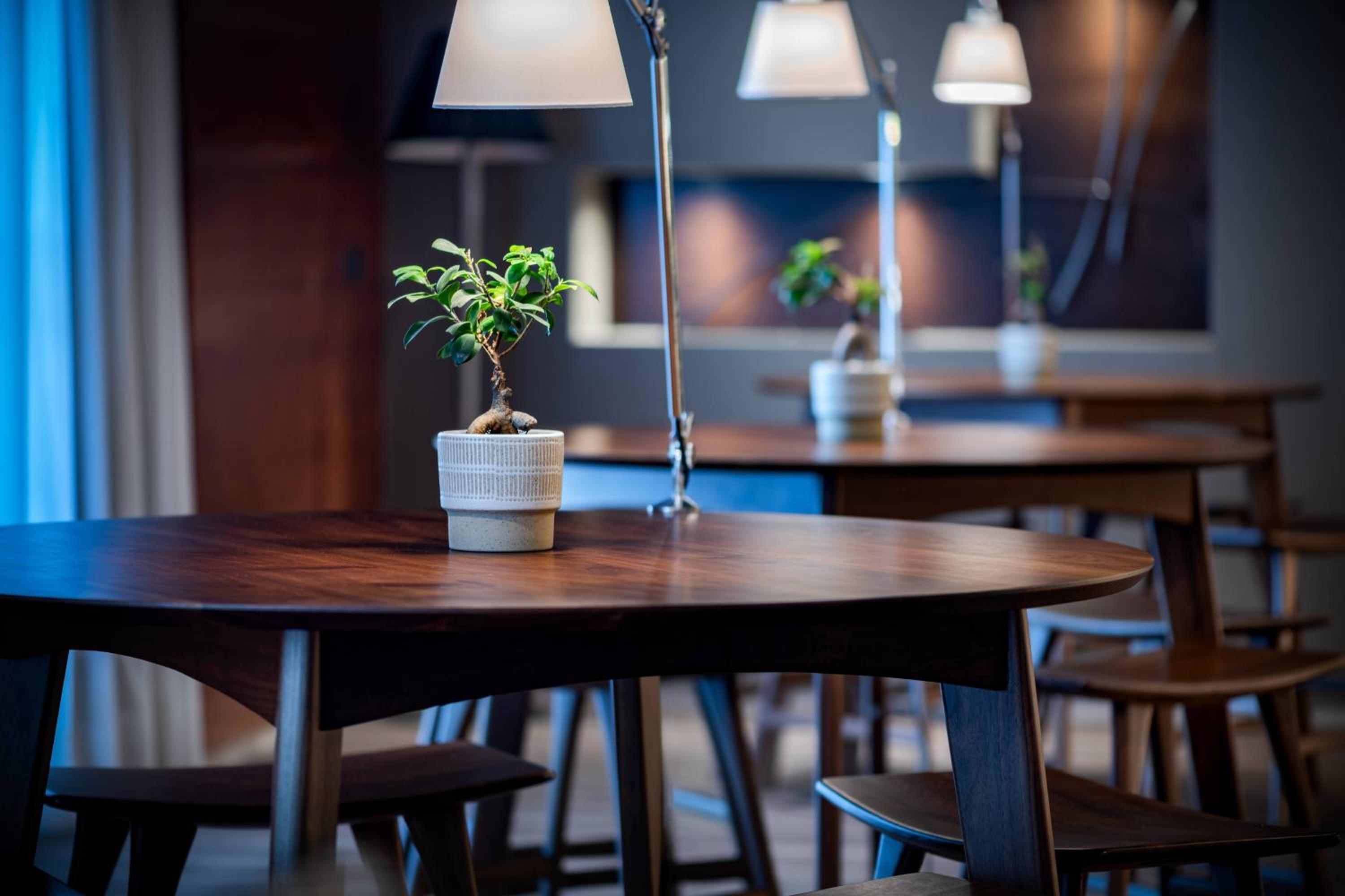Badajoz Vacations - AC Hotel Badajoz by Marriott - Property Image 12