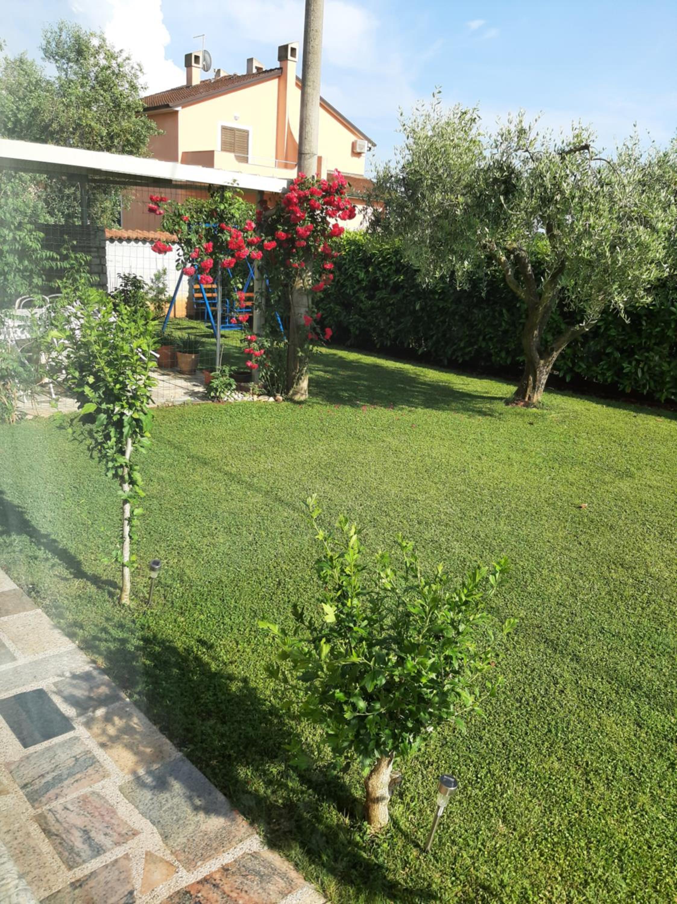 Photo 31