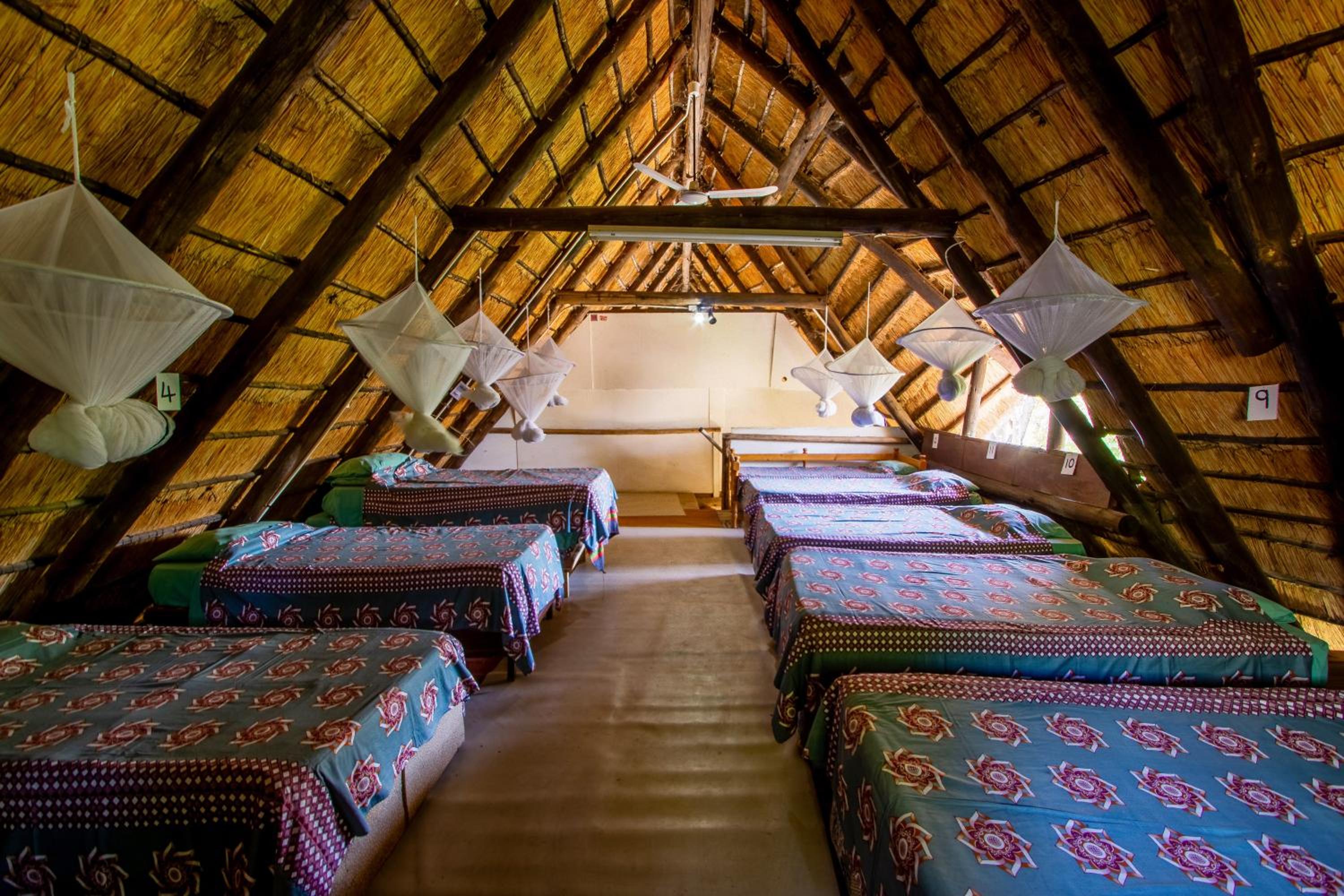 Victoria Falls Backpackers Lodge