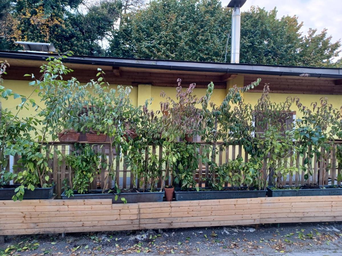 Binderhäusl