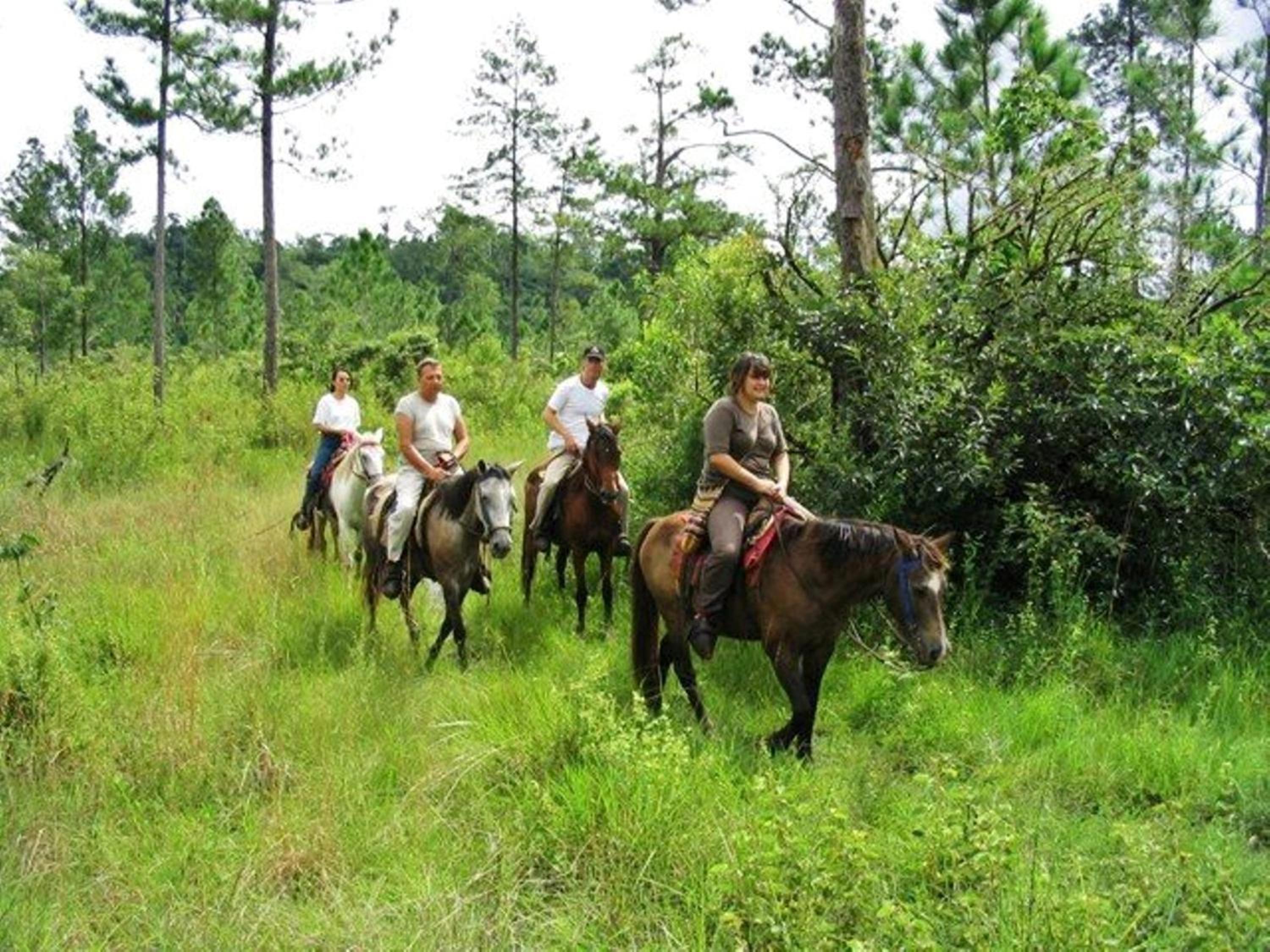 Finca Ixobel, photo 75