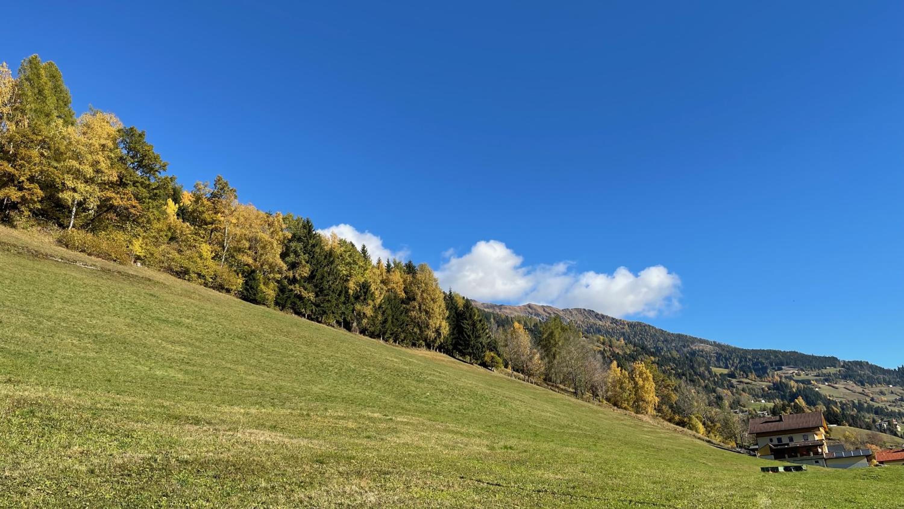 Pension Pichlerhof