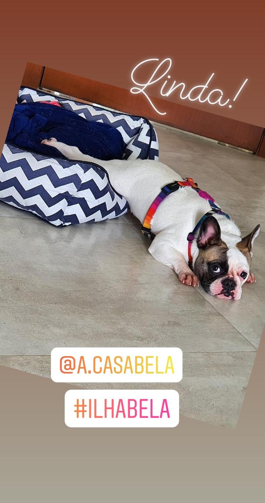 A Casa Bella - Guesthouse