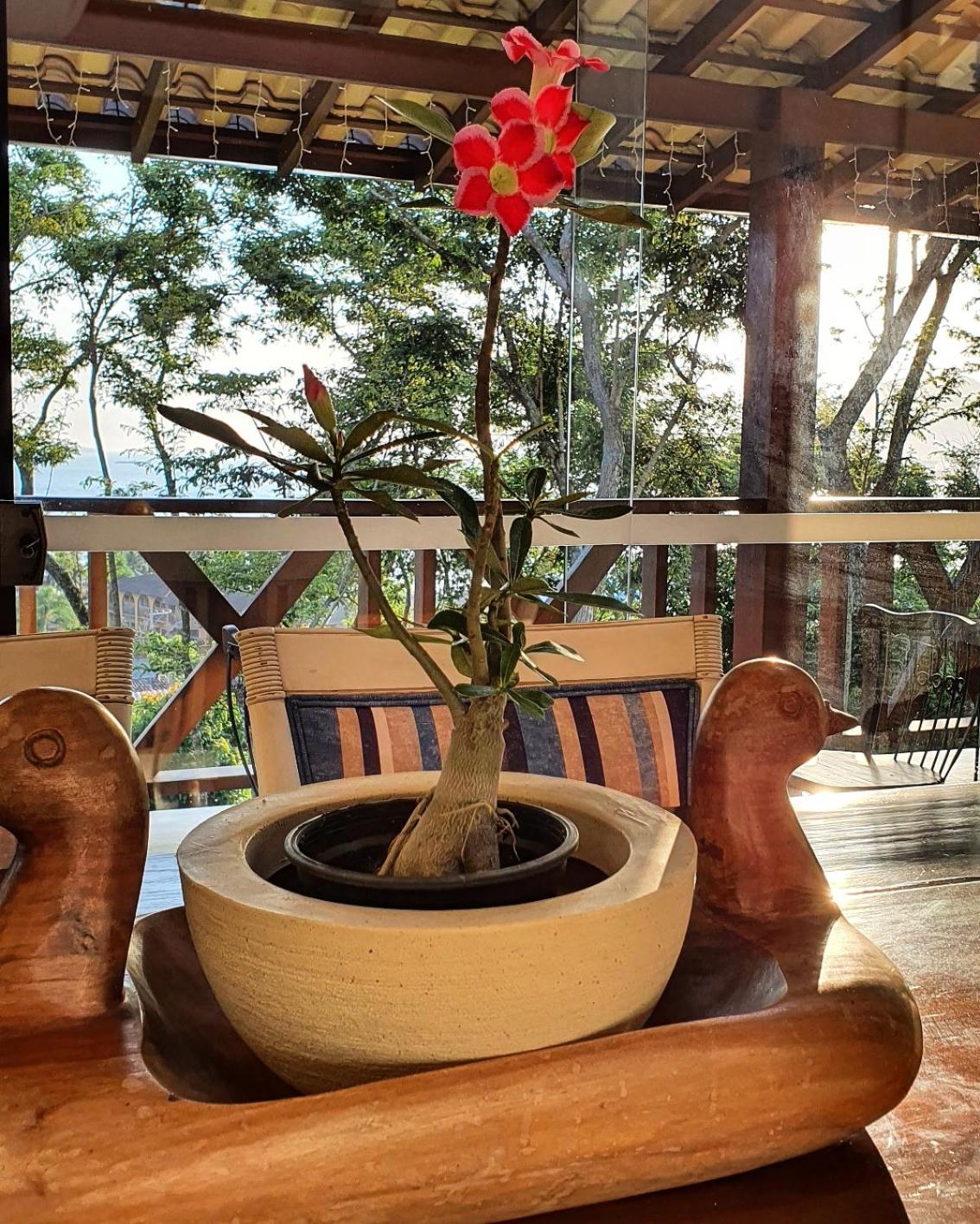 A Casa Bella - Guesthouse