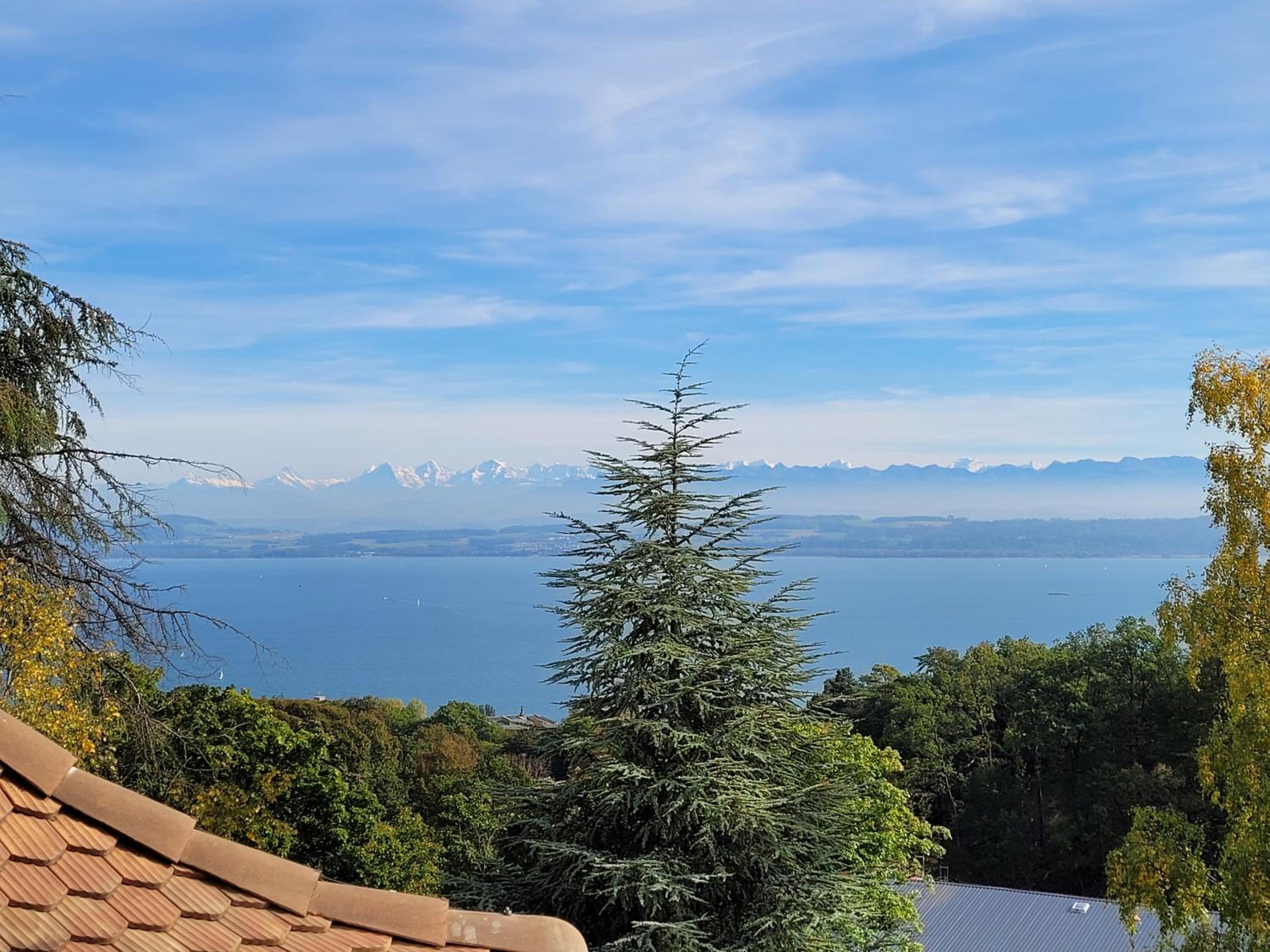3-bedroom apartment with spectacular view