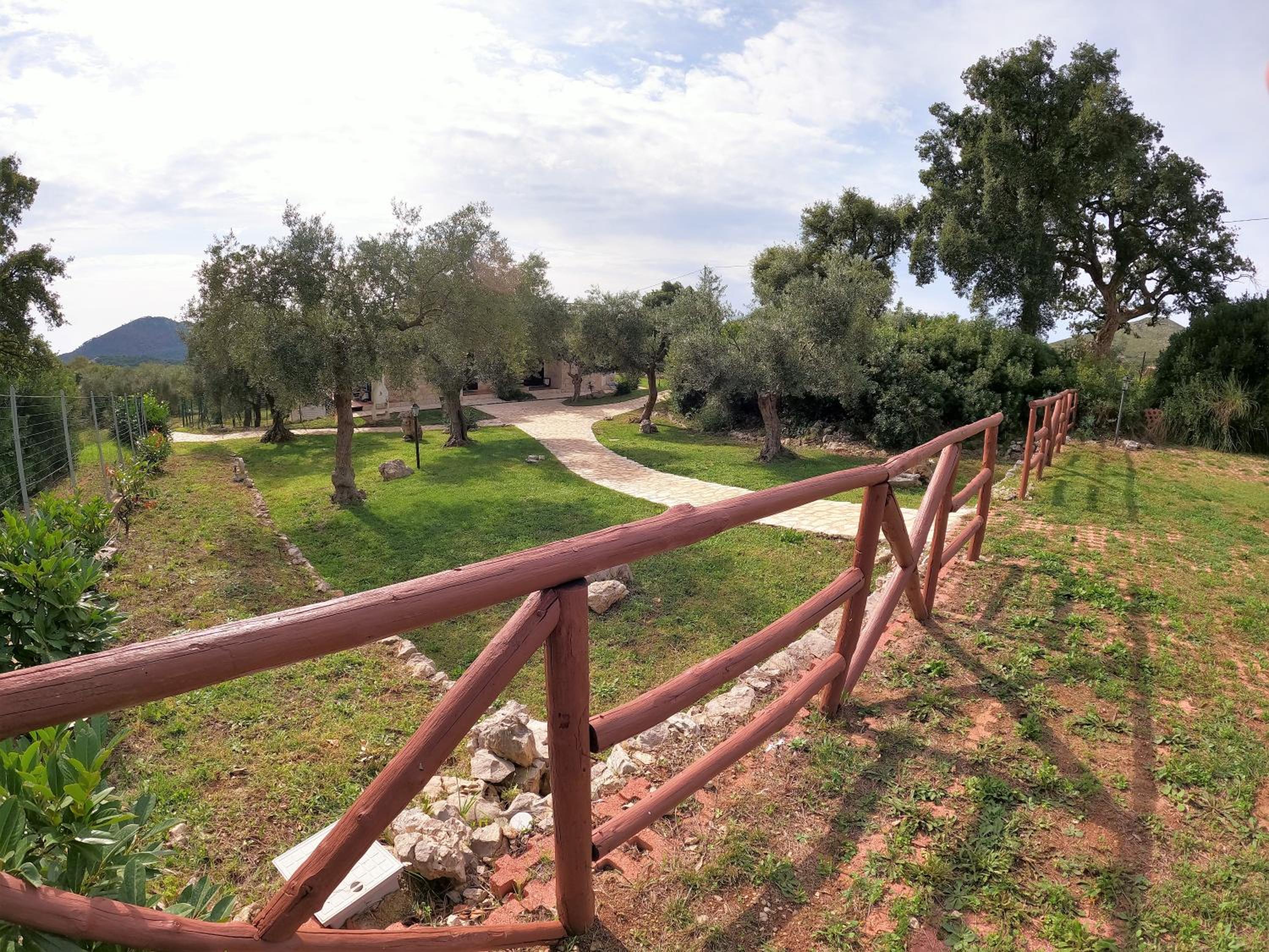 Photo 22