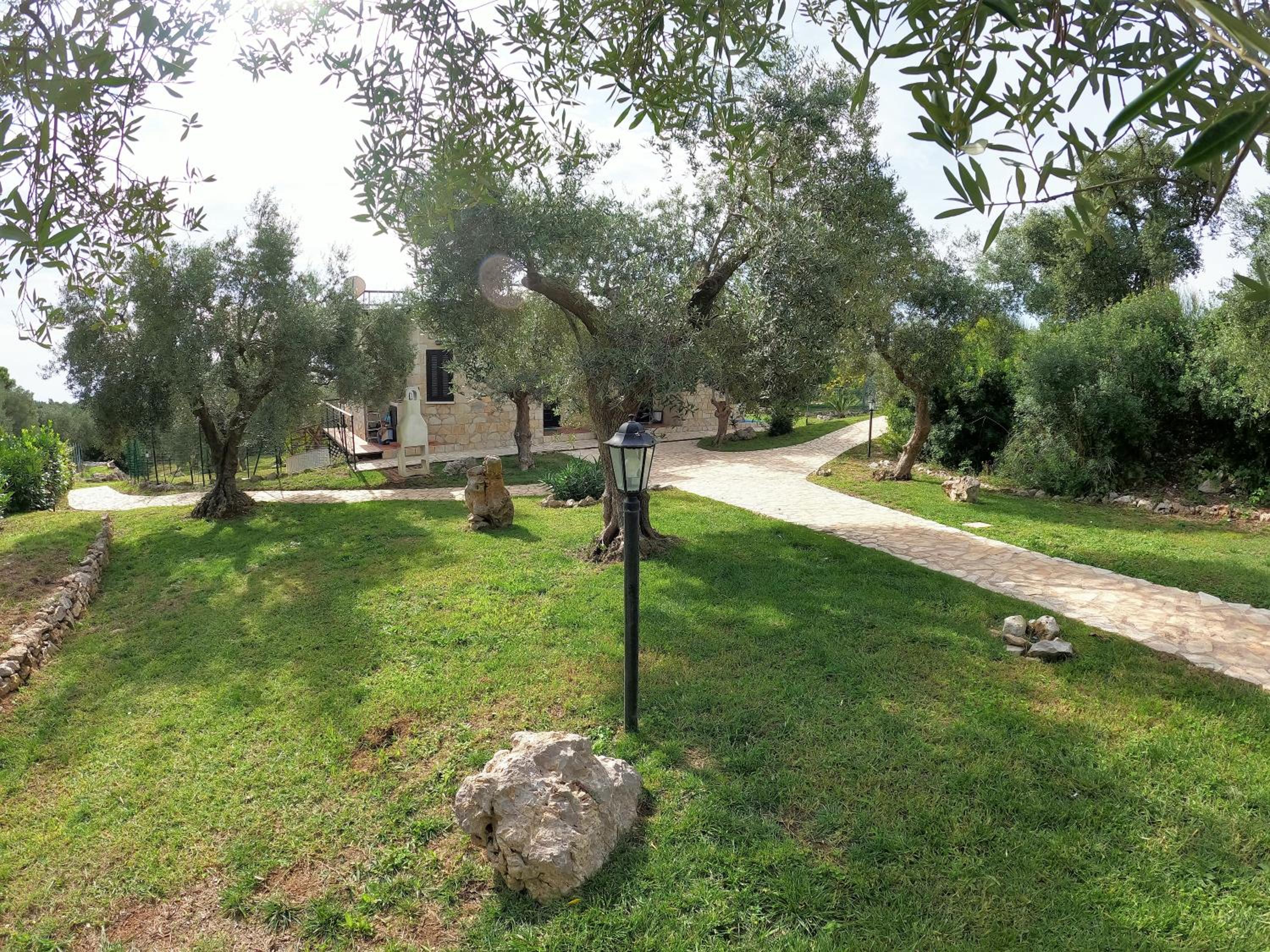 Photo 23