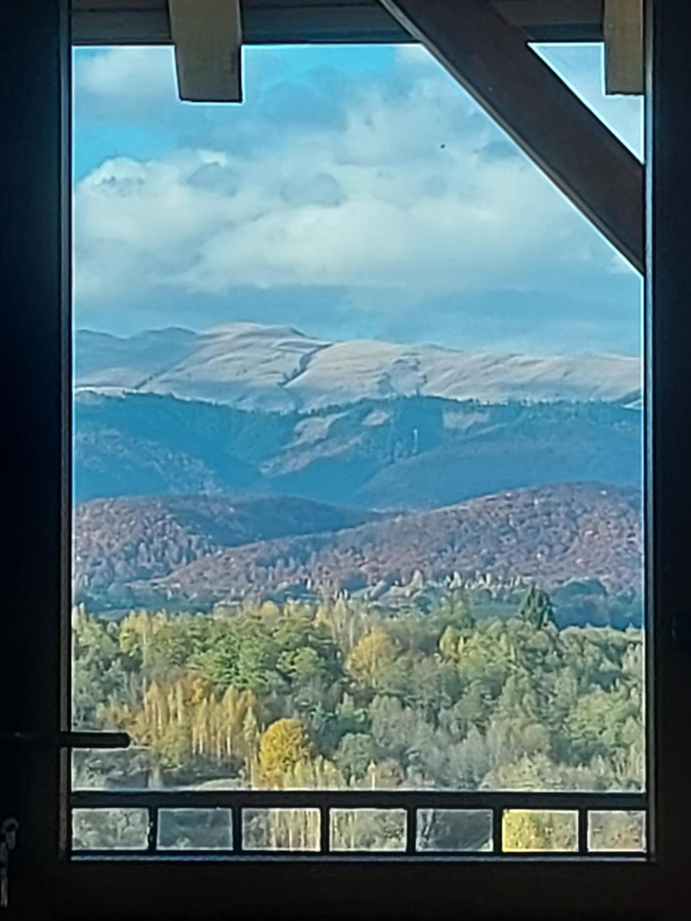Pensiunea Poiana Luminoasă view 4