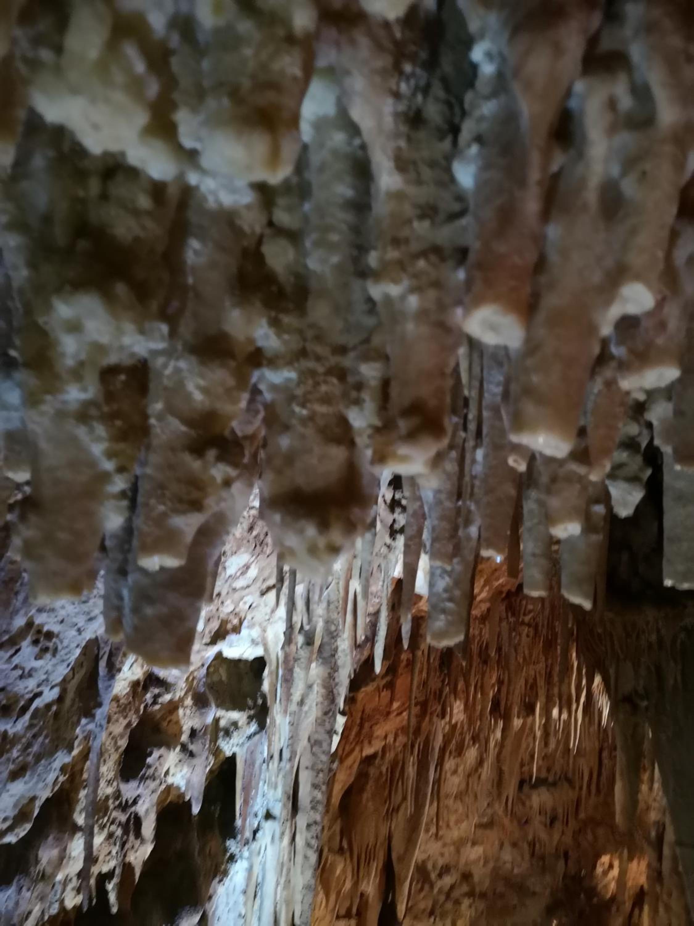 Accogliente Dimora