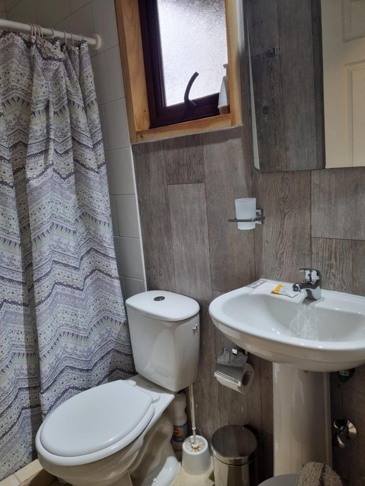 Apart Hotel Antu de Villarrica view 4
